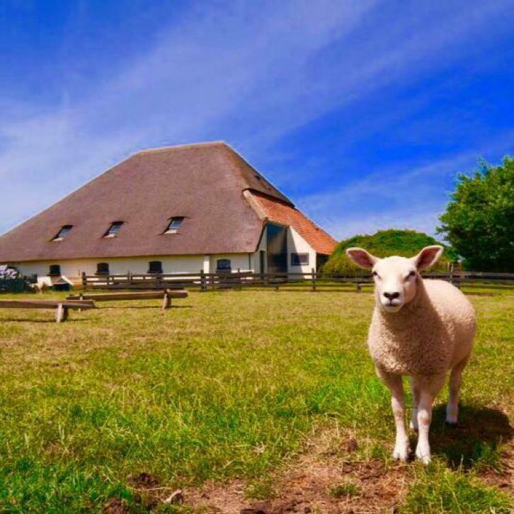 Naturhäuschen in Den Hoorn
