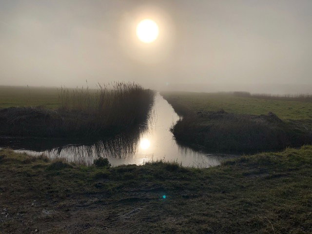 - image: 32