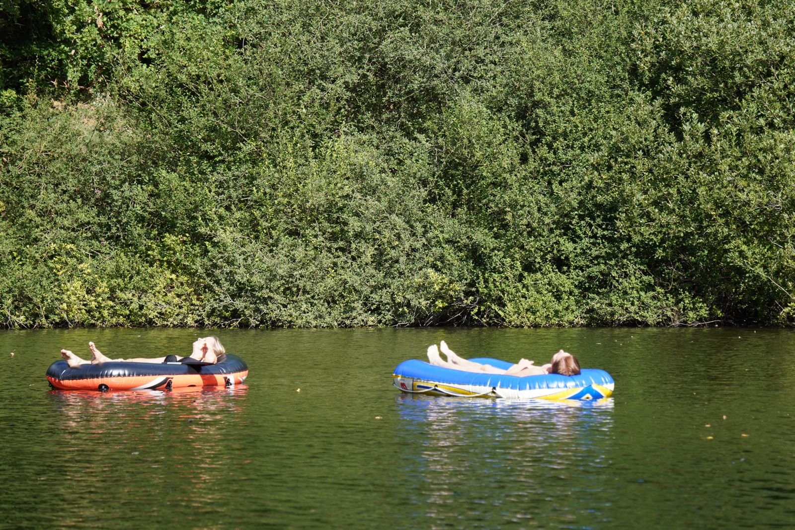 Natuurhuisje in Gieten