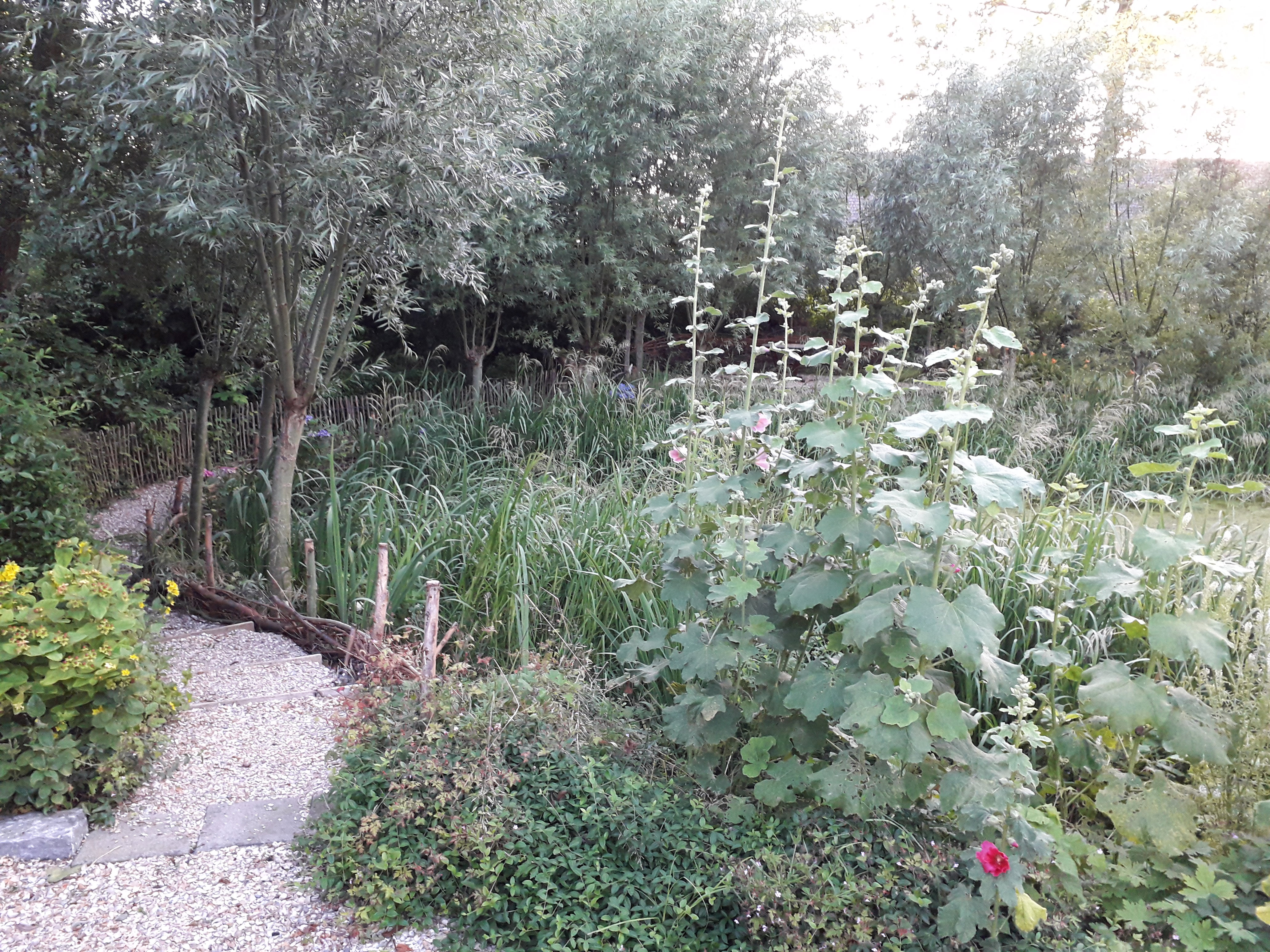 Natuurhuisje in Geersdijk