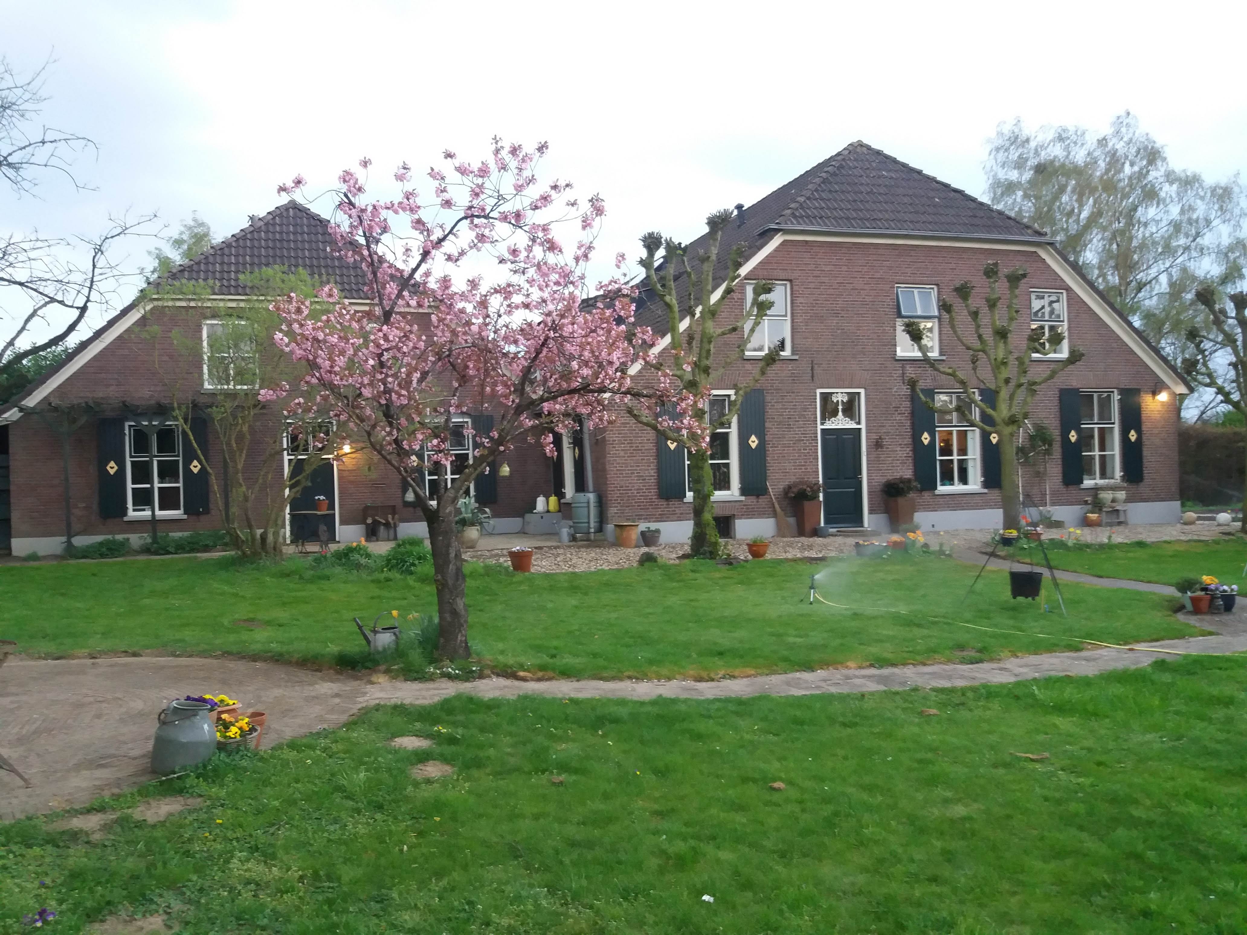 Naturhäuschen in Breedenbroek Achterhoek