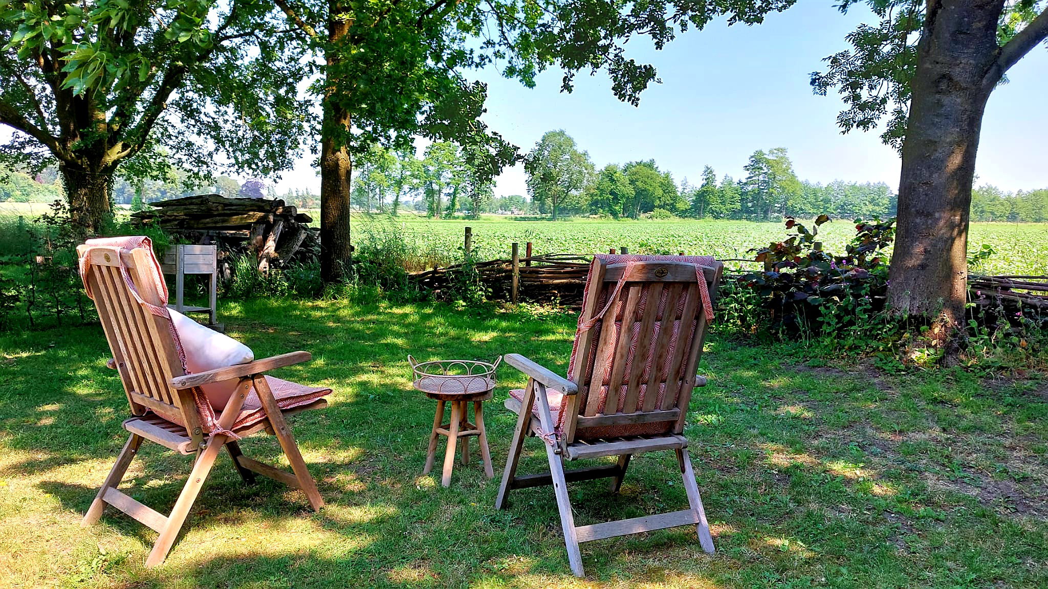 - image: 15