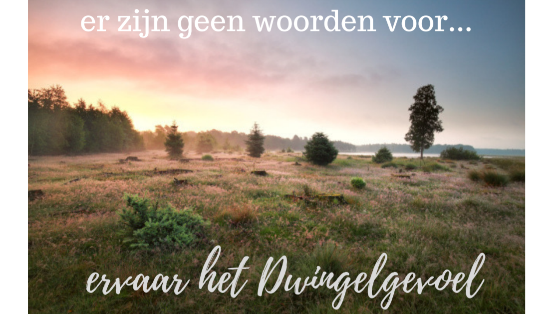 - image: 23