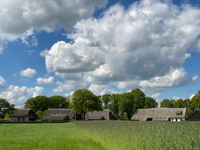 - image: 25