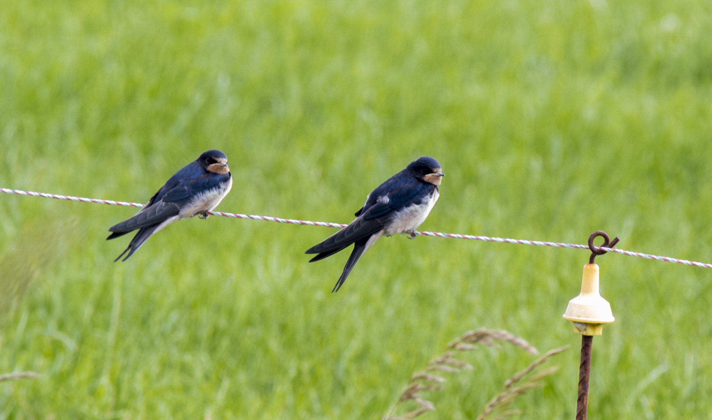 Naturhäuschen in Marle
