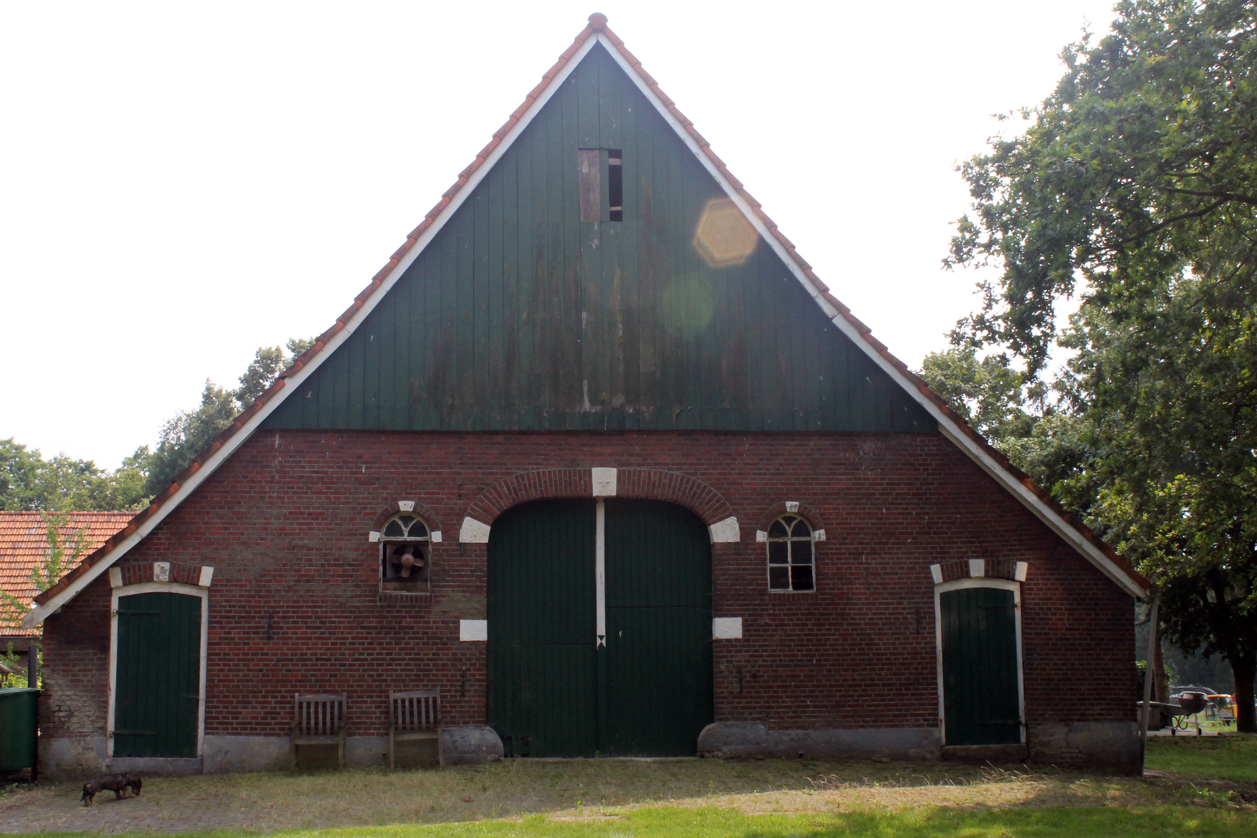 - image: 1