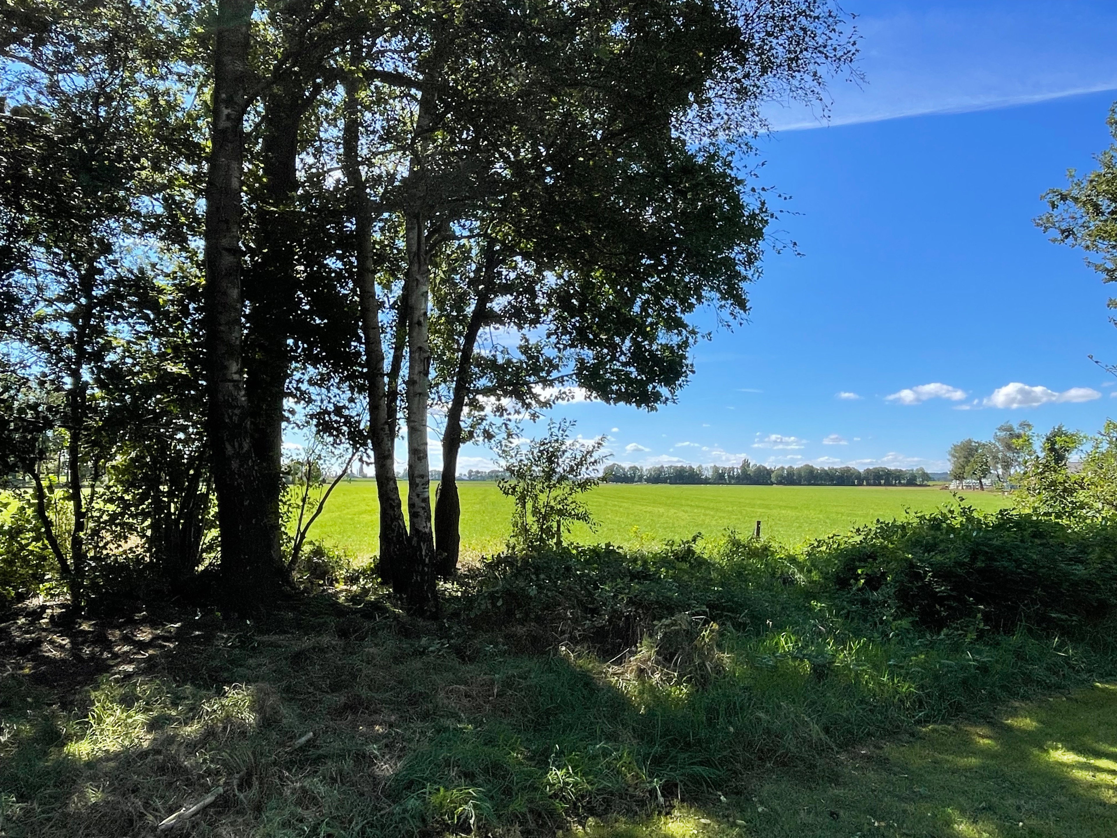 Casa nella natura a Etten