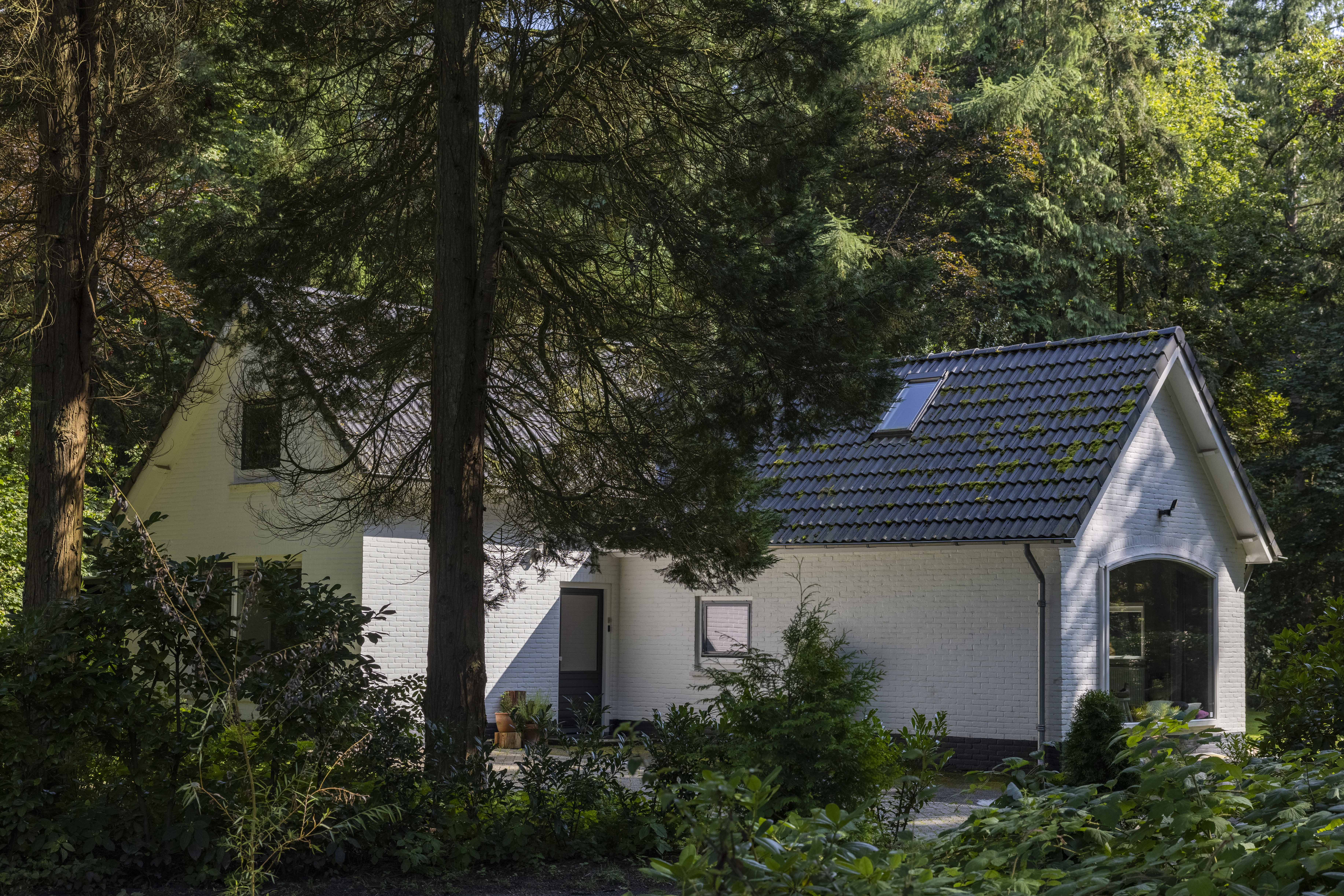 Maison nature à Vierhouten