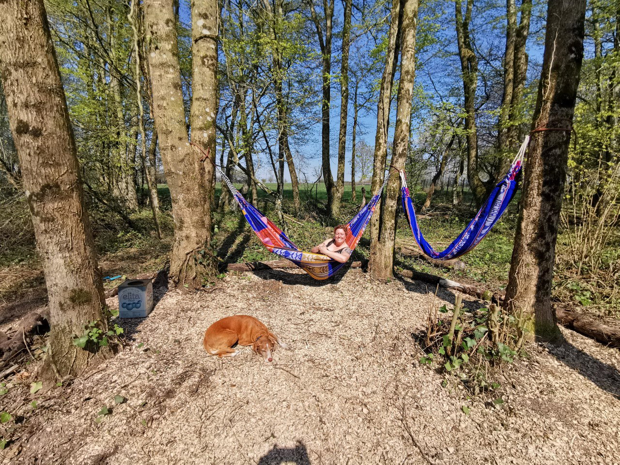 Natuurhuisje in Mainbressy