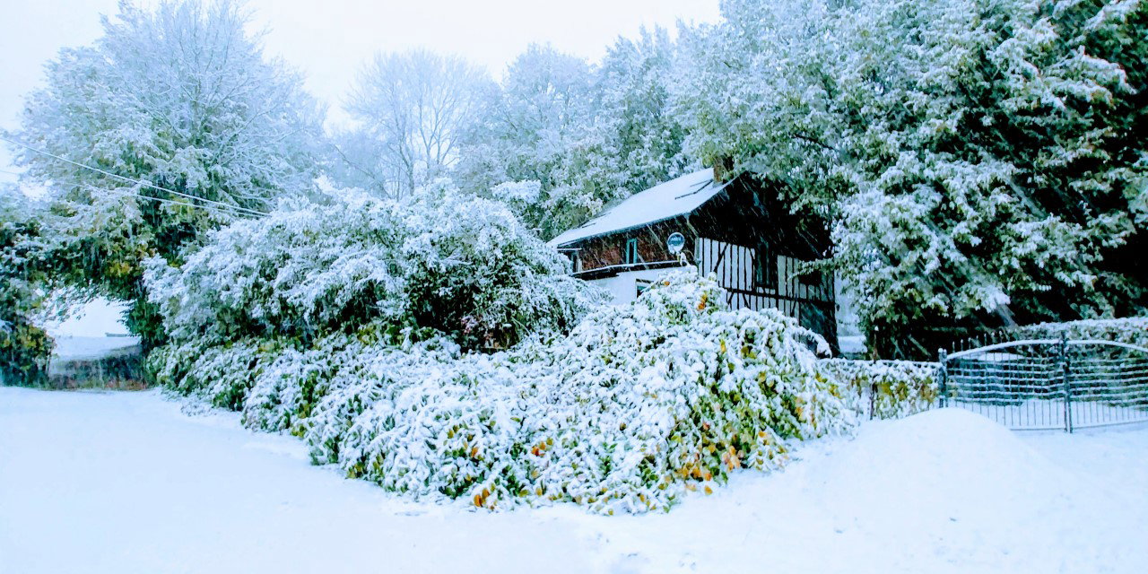 Natuurhuisje in Mainbressy