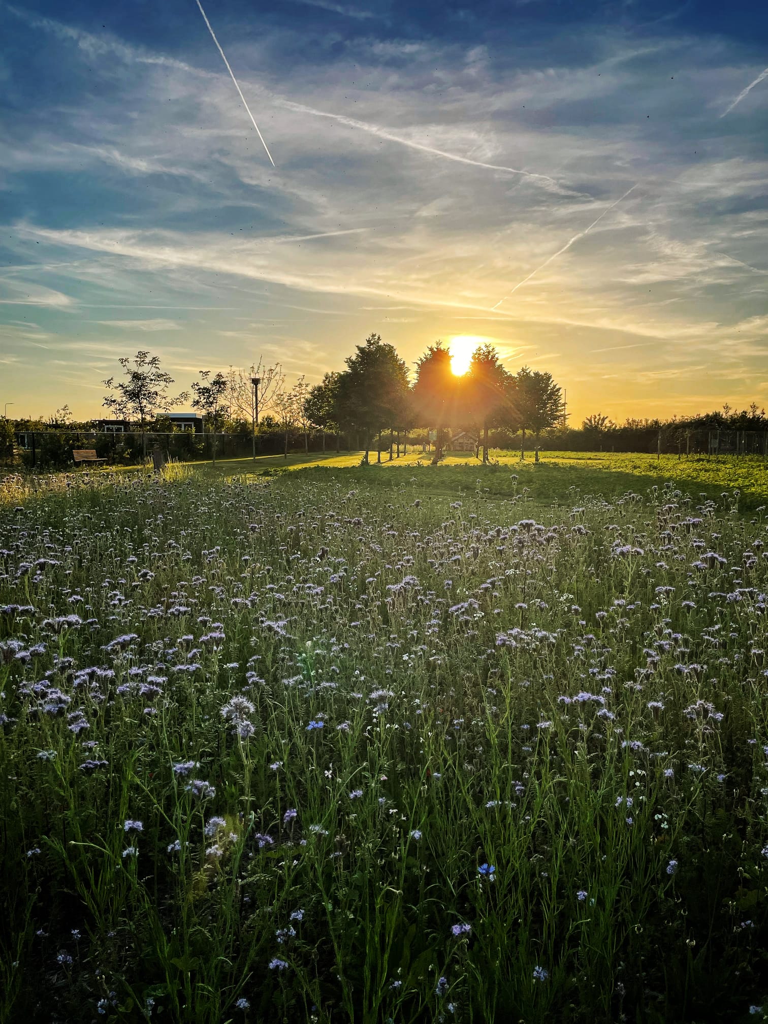 Naturhäuschen in Valkenswaard