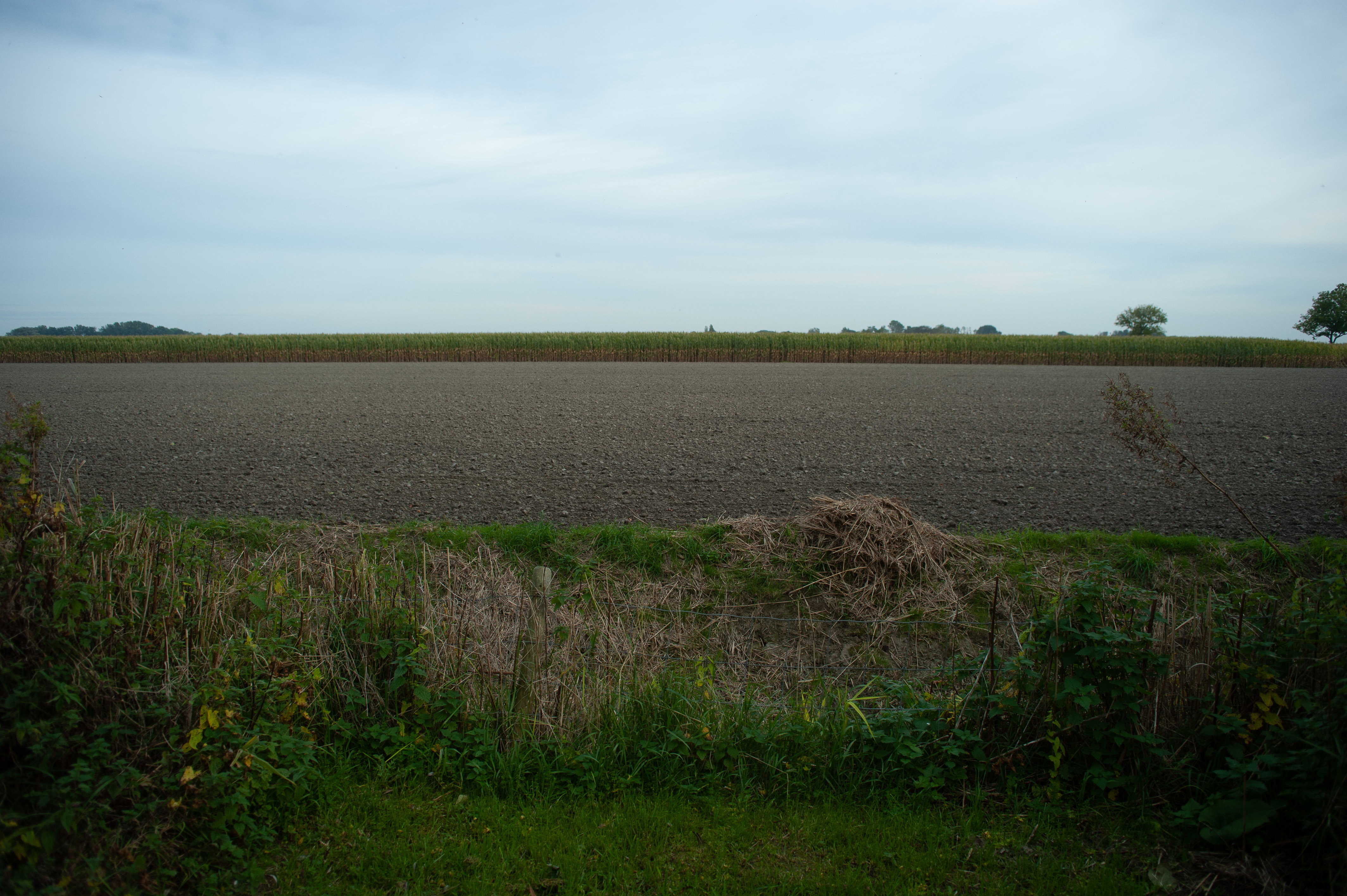 - image: 13