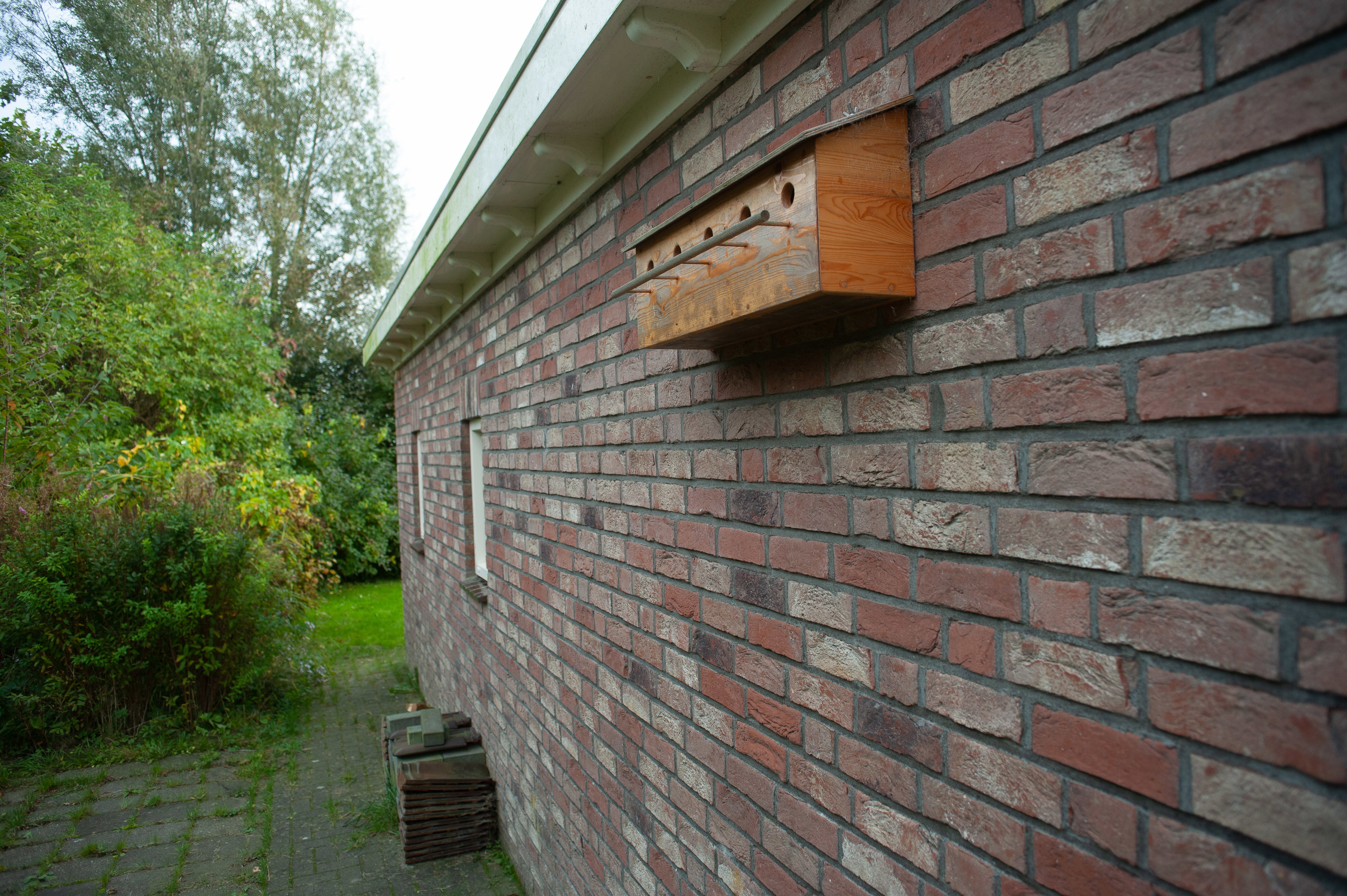 - image: 20