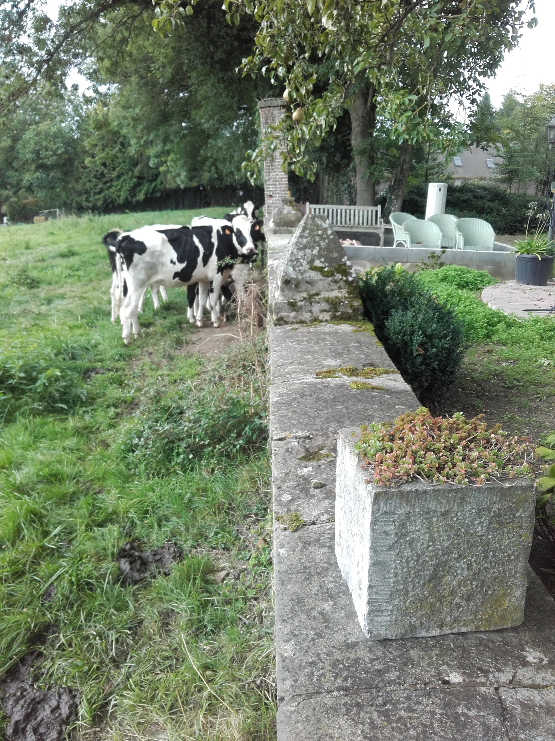 Naturhäuschen in Malzy
