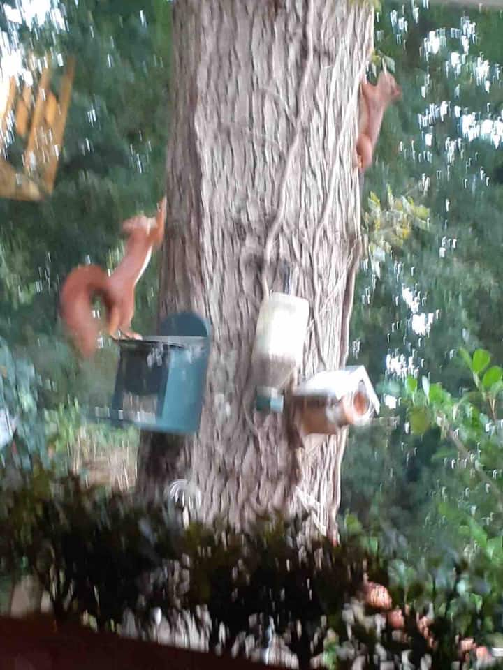 Maison nature à Schipborg