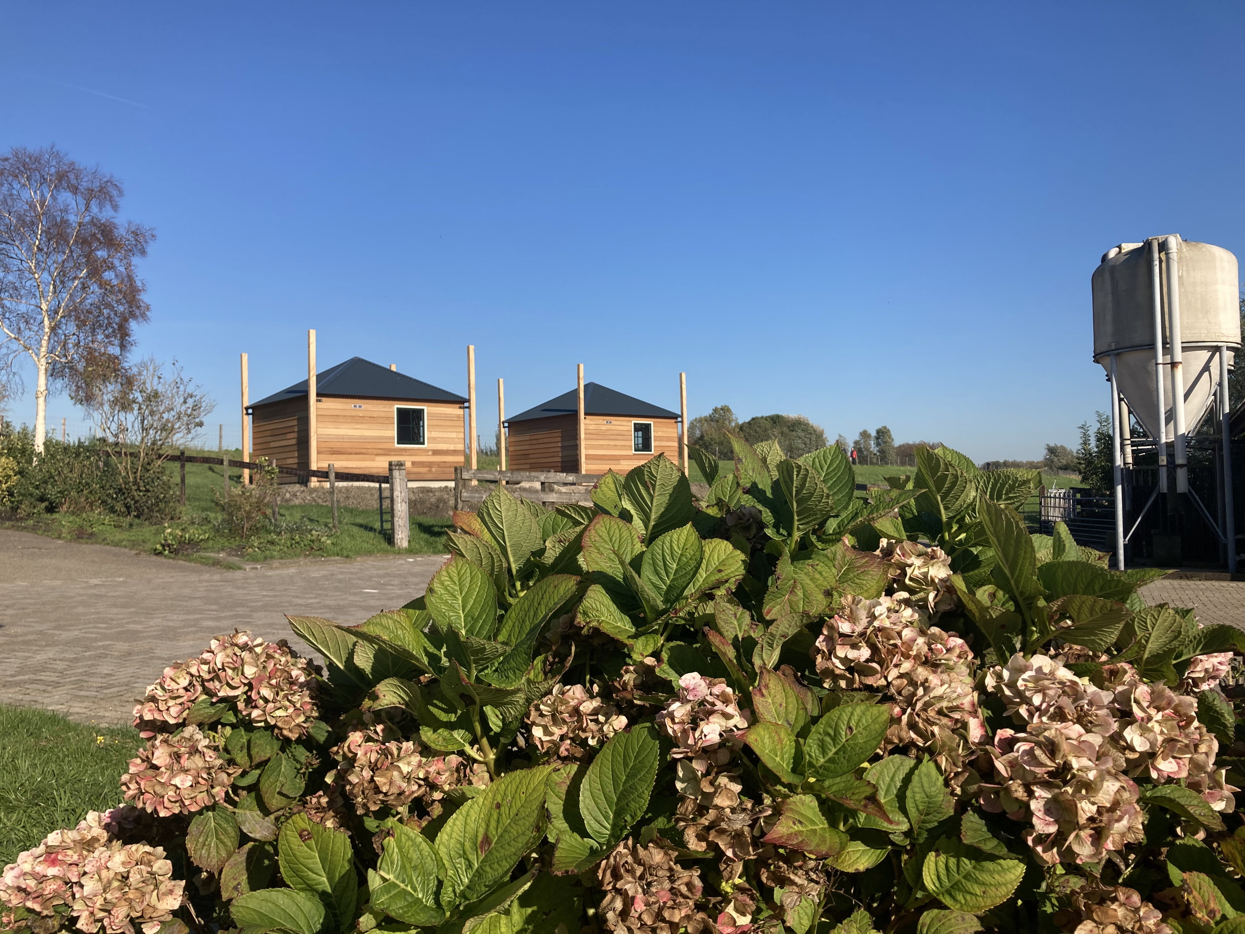Maison nature à Leidschendam