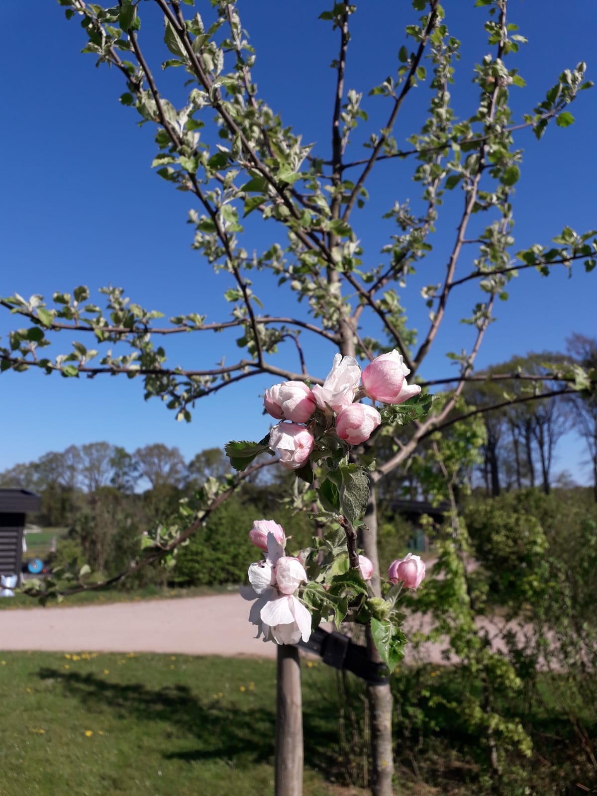 Natuurhuisje in Wichmond