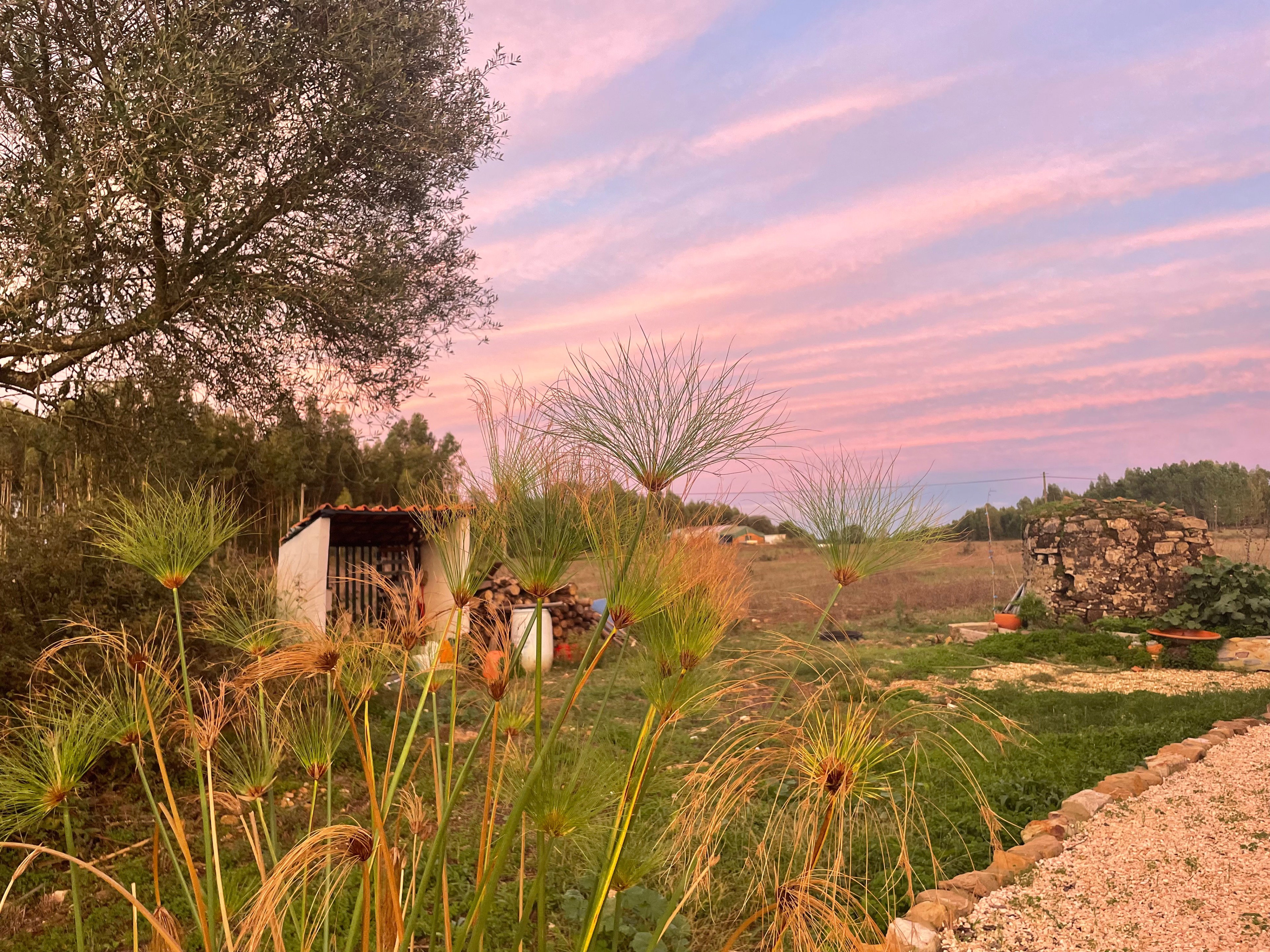 Casa nella natura a Sao Teotonio