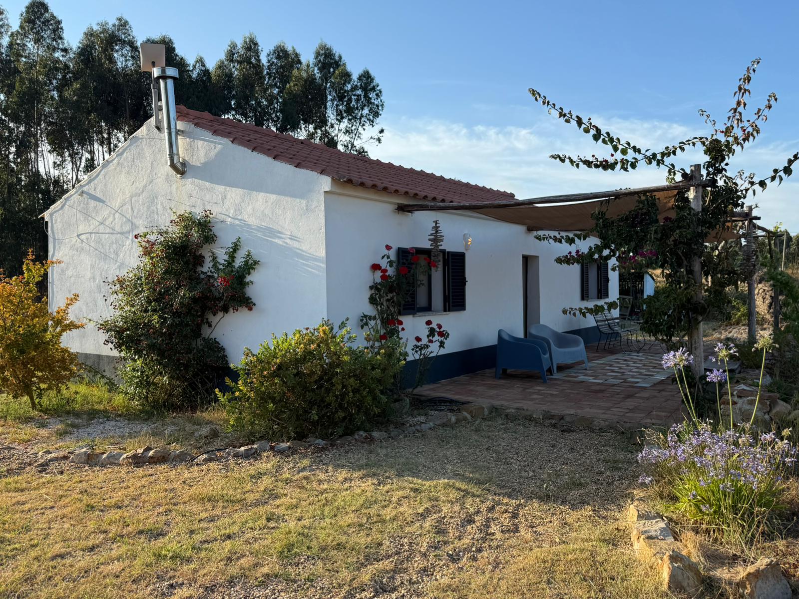 Nature house in Sao Teotonio