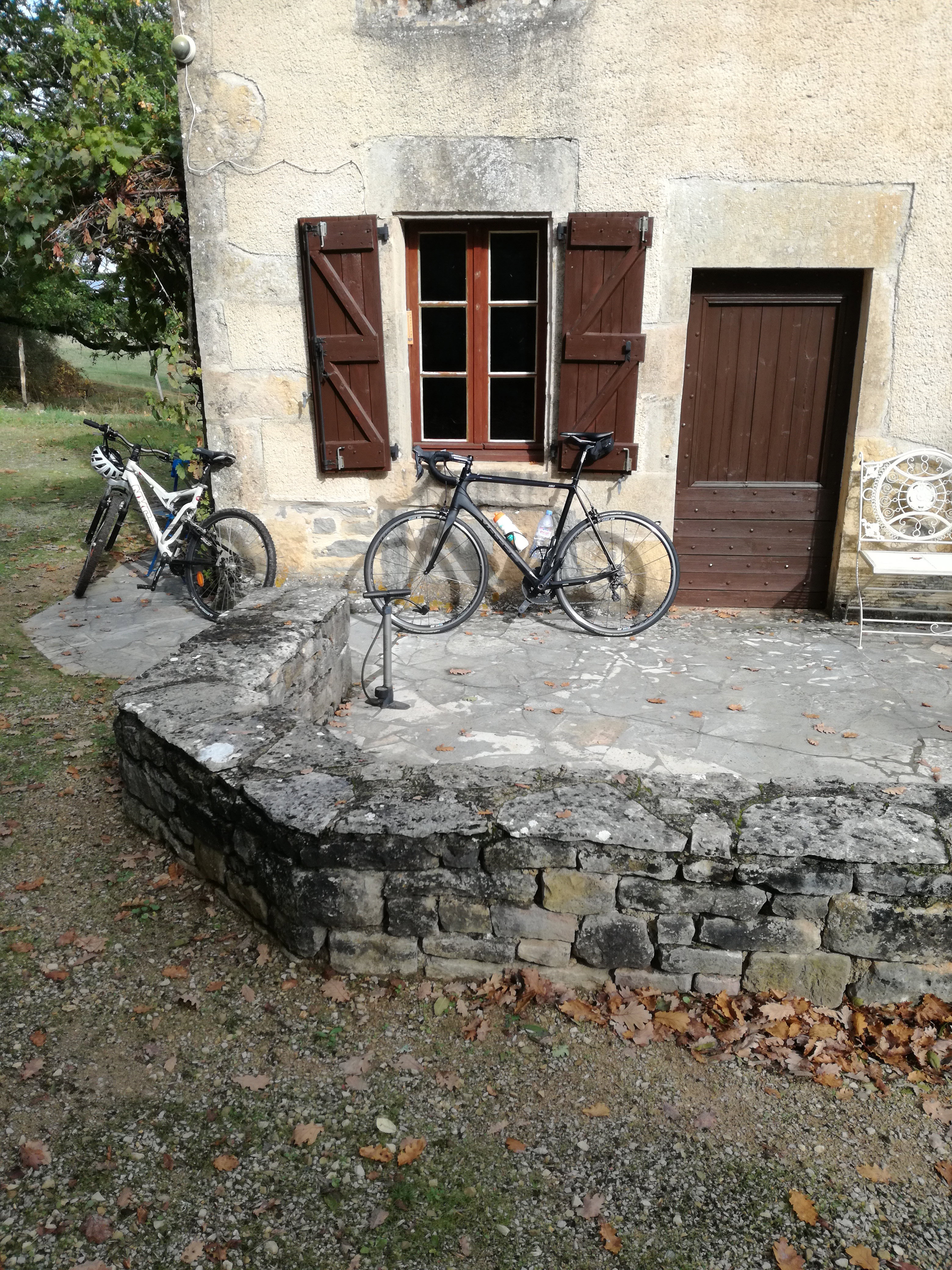 - image: 12