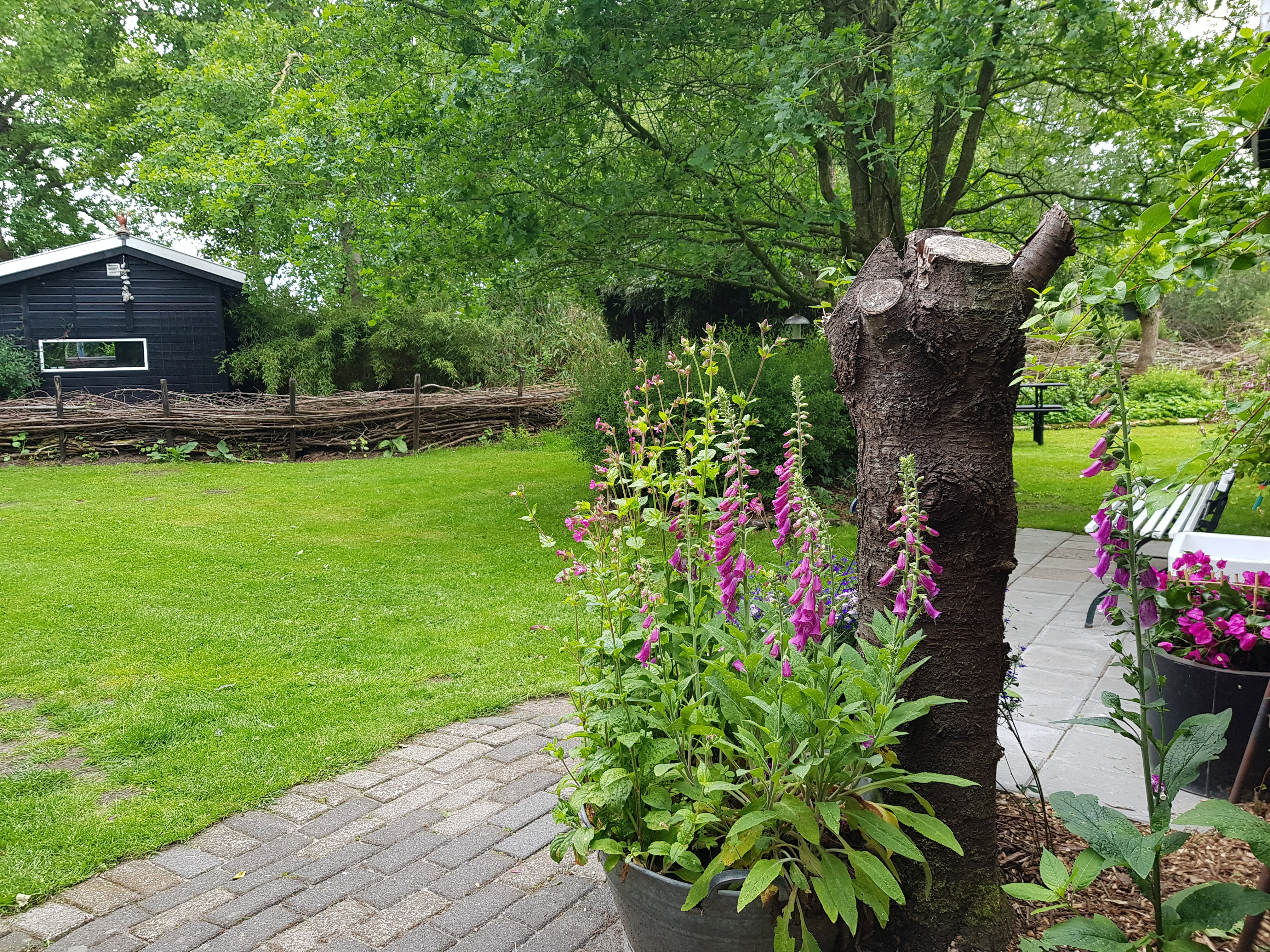 Natuurhuisje in Kootstertille