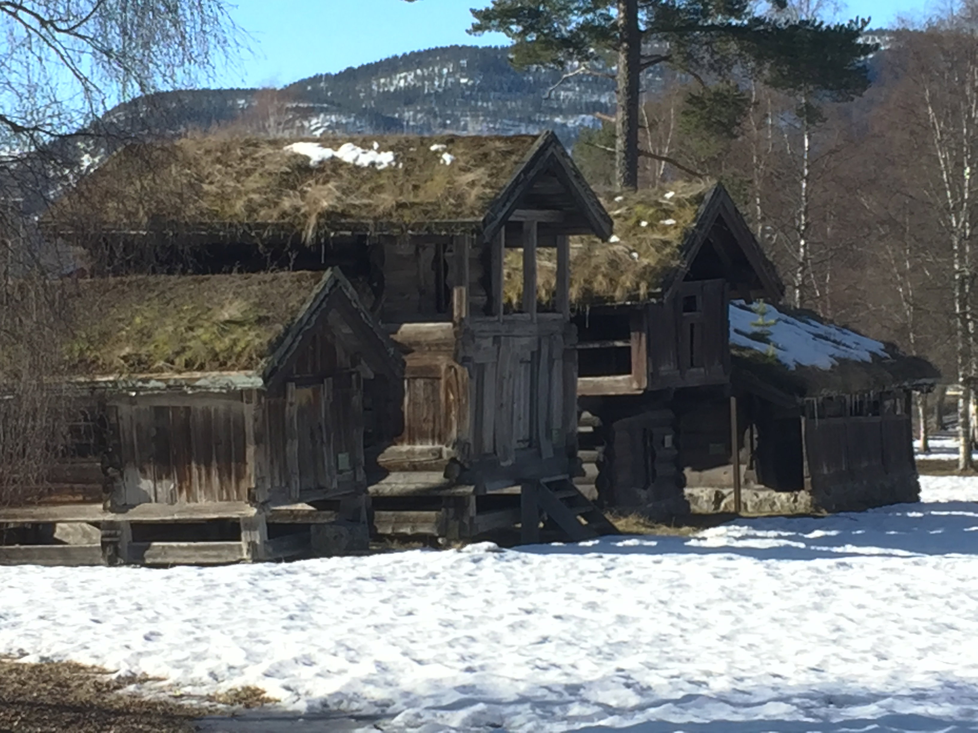 - image: 29