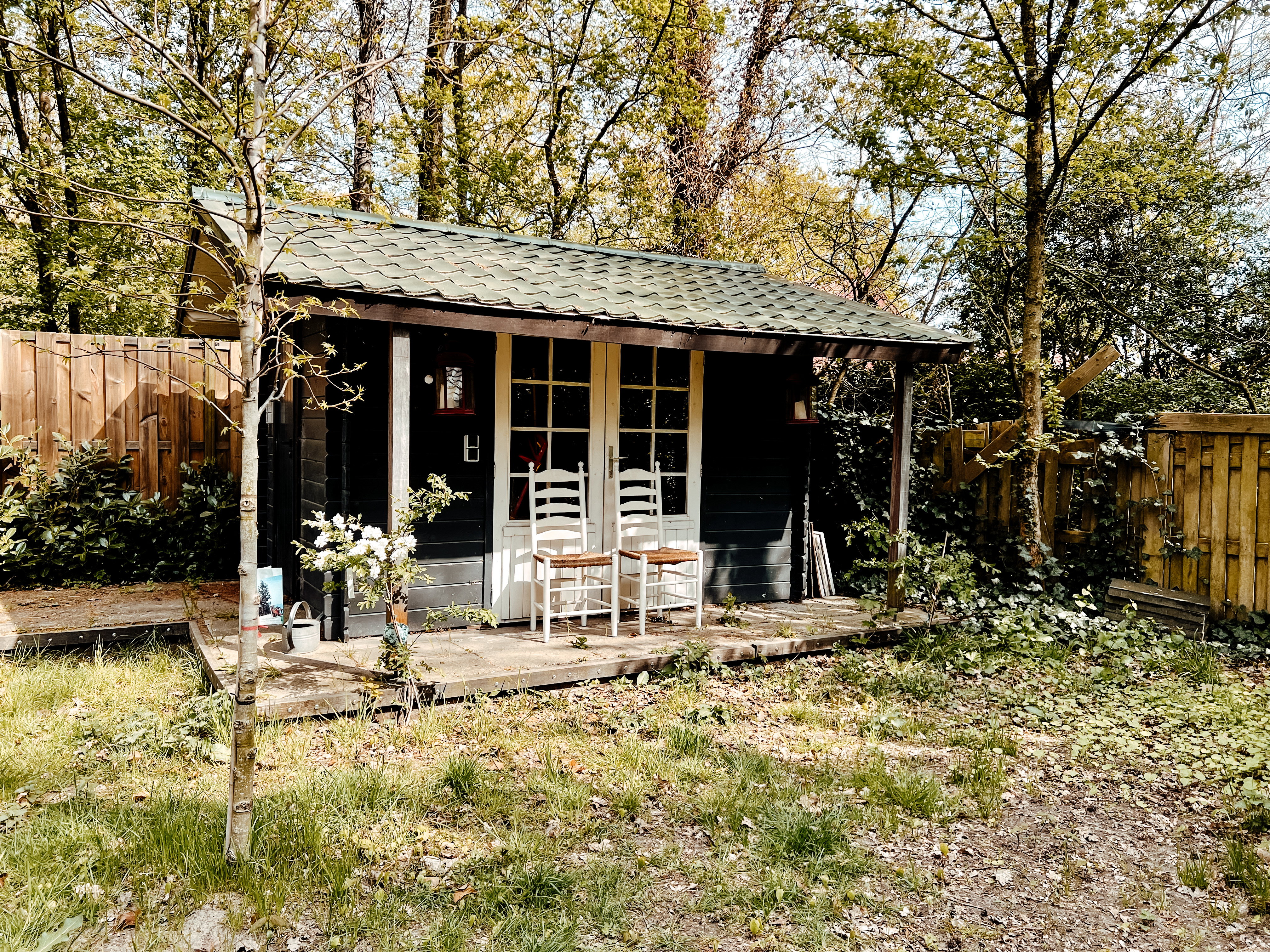 - image: 20