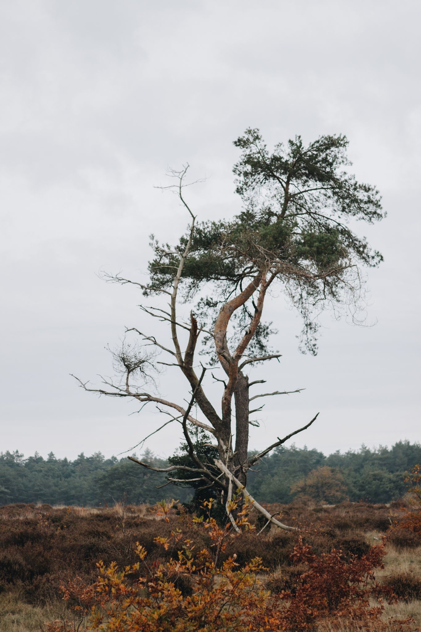 - image: 22