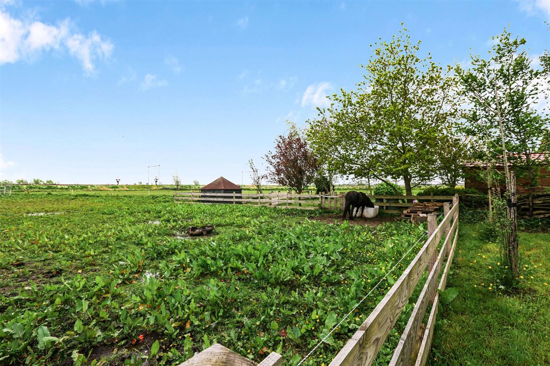 Nature house in Purmerland