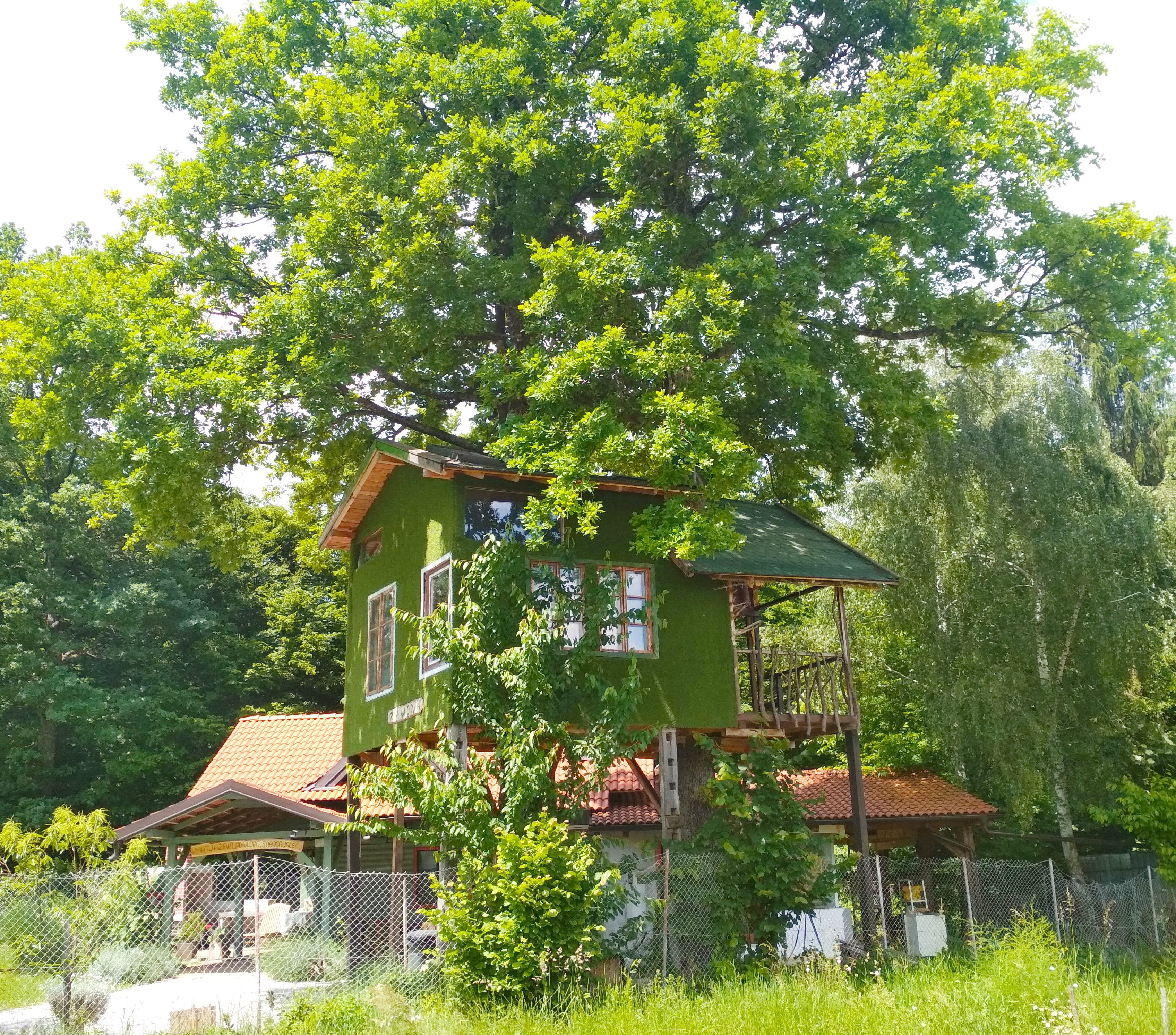 Maison nature à Grosuplje