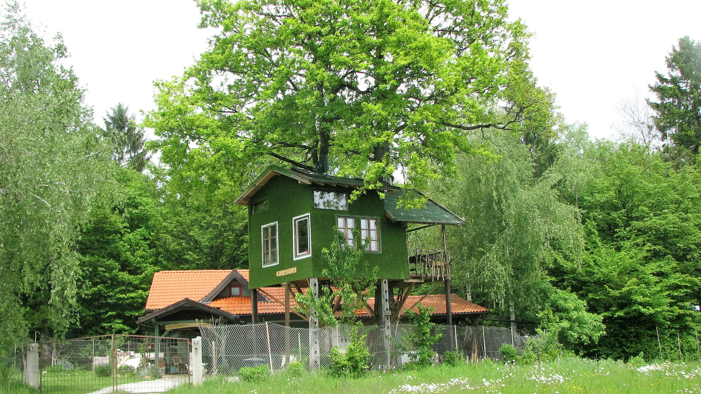 - image: 17