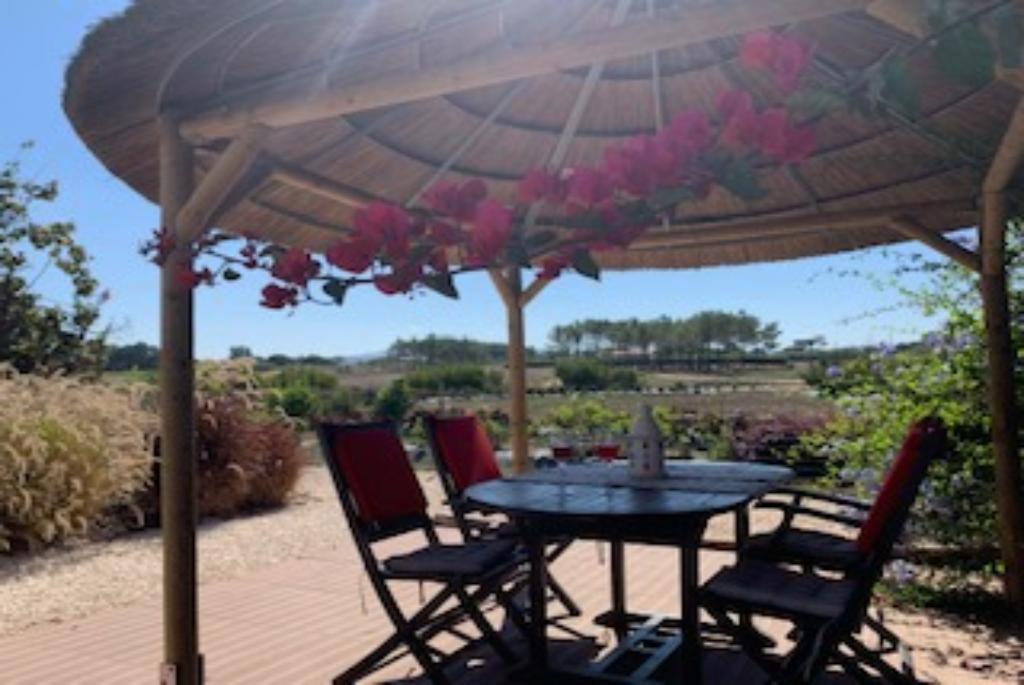 Natuurhuisje in Aljezur