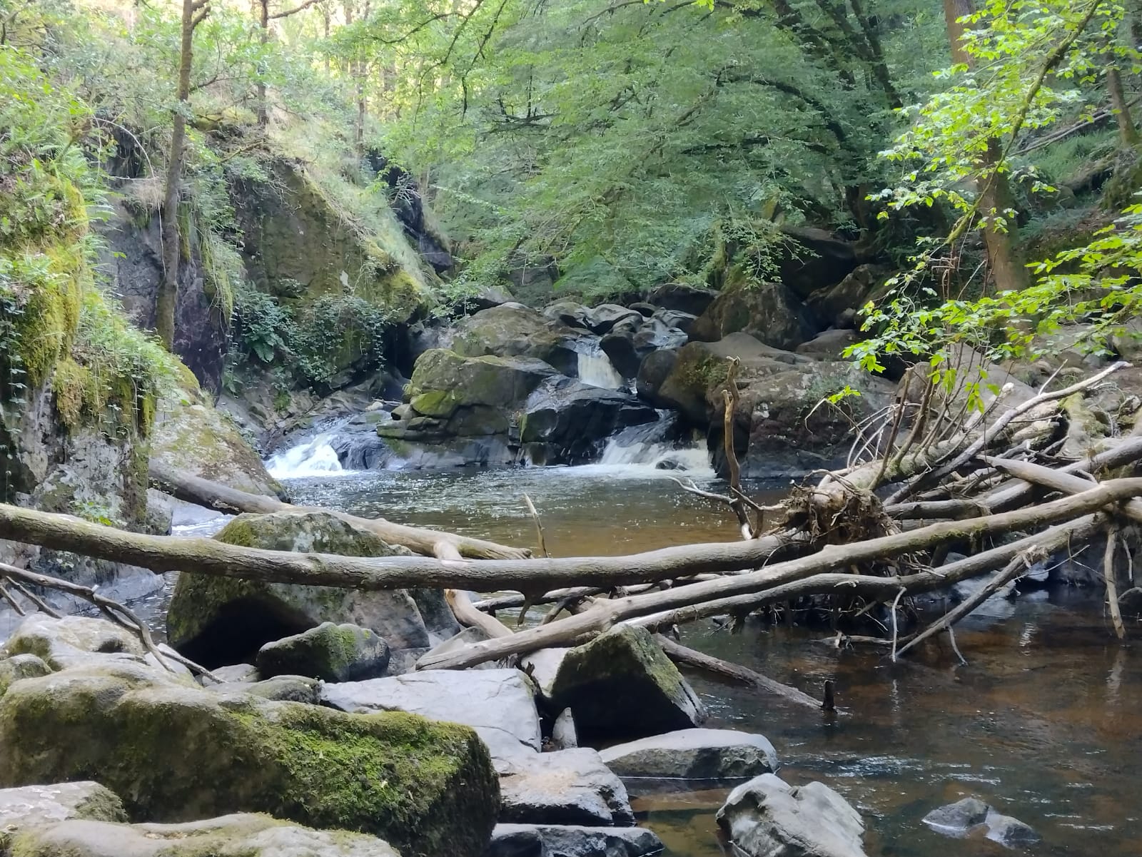 Natuurhuisje in Mialet
