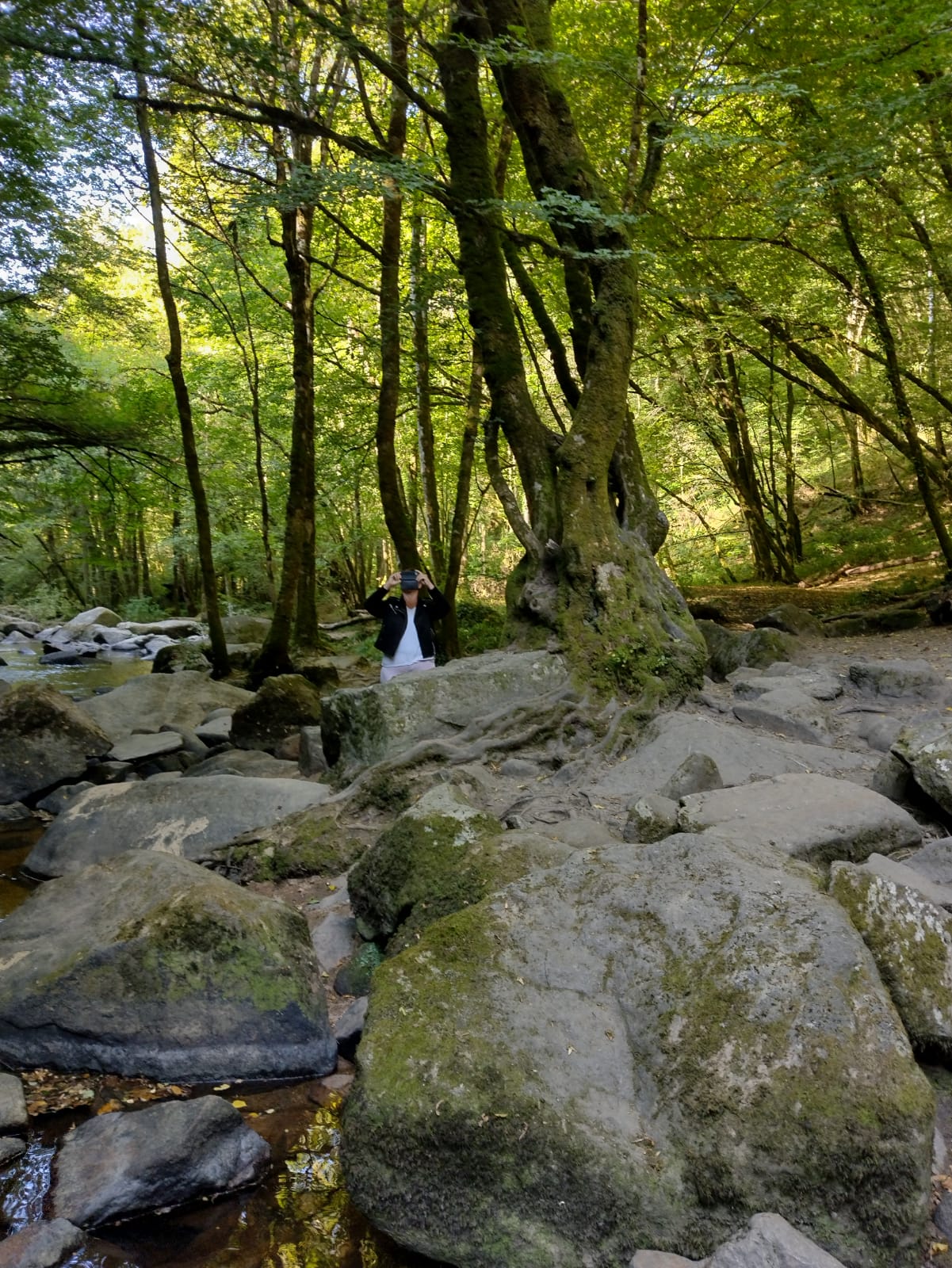 Natuurhuisje in Mialet