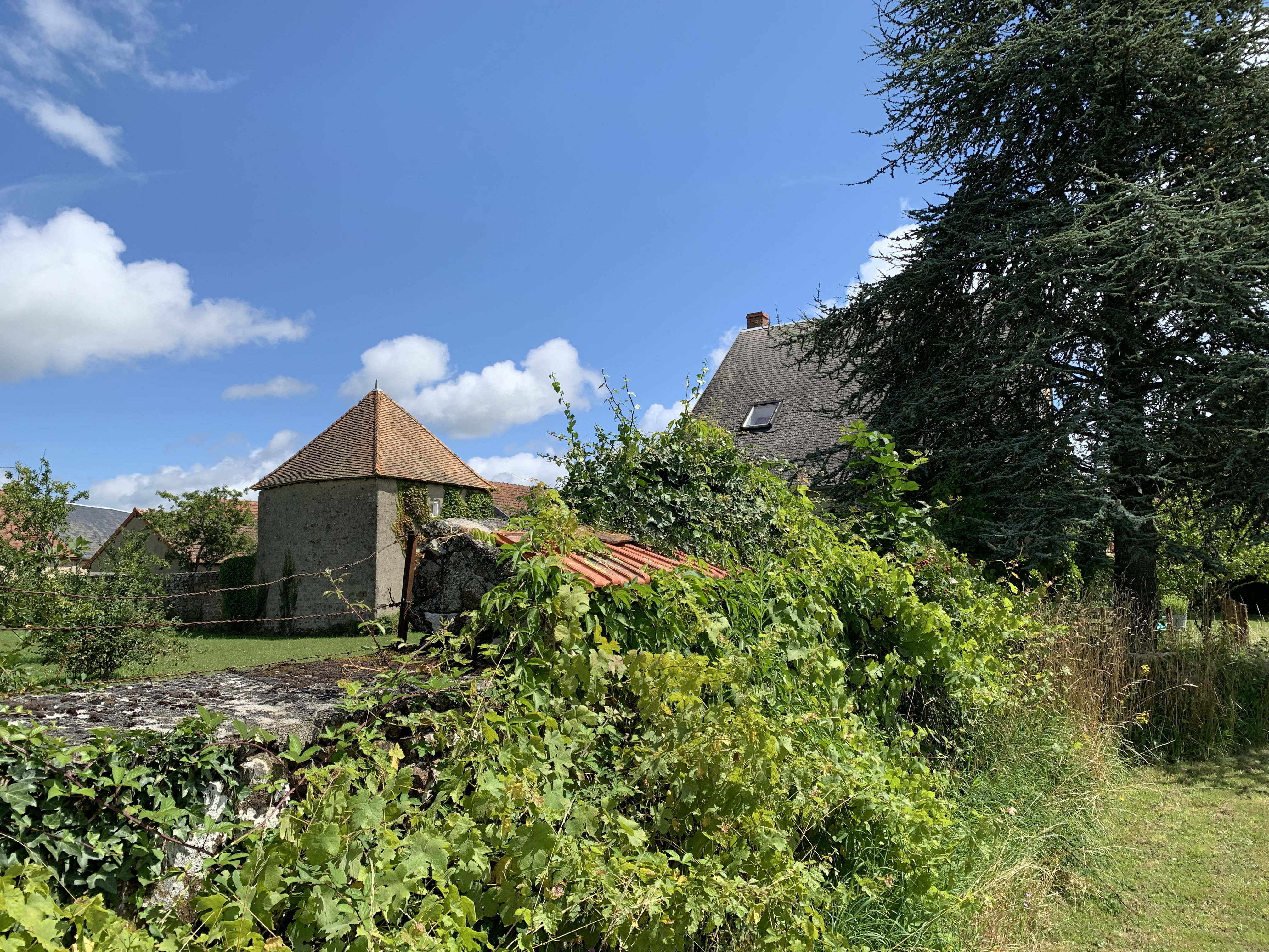 - image: 17