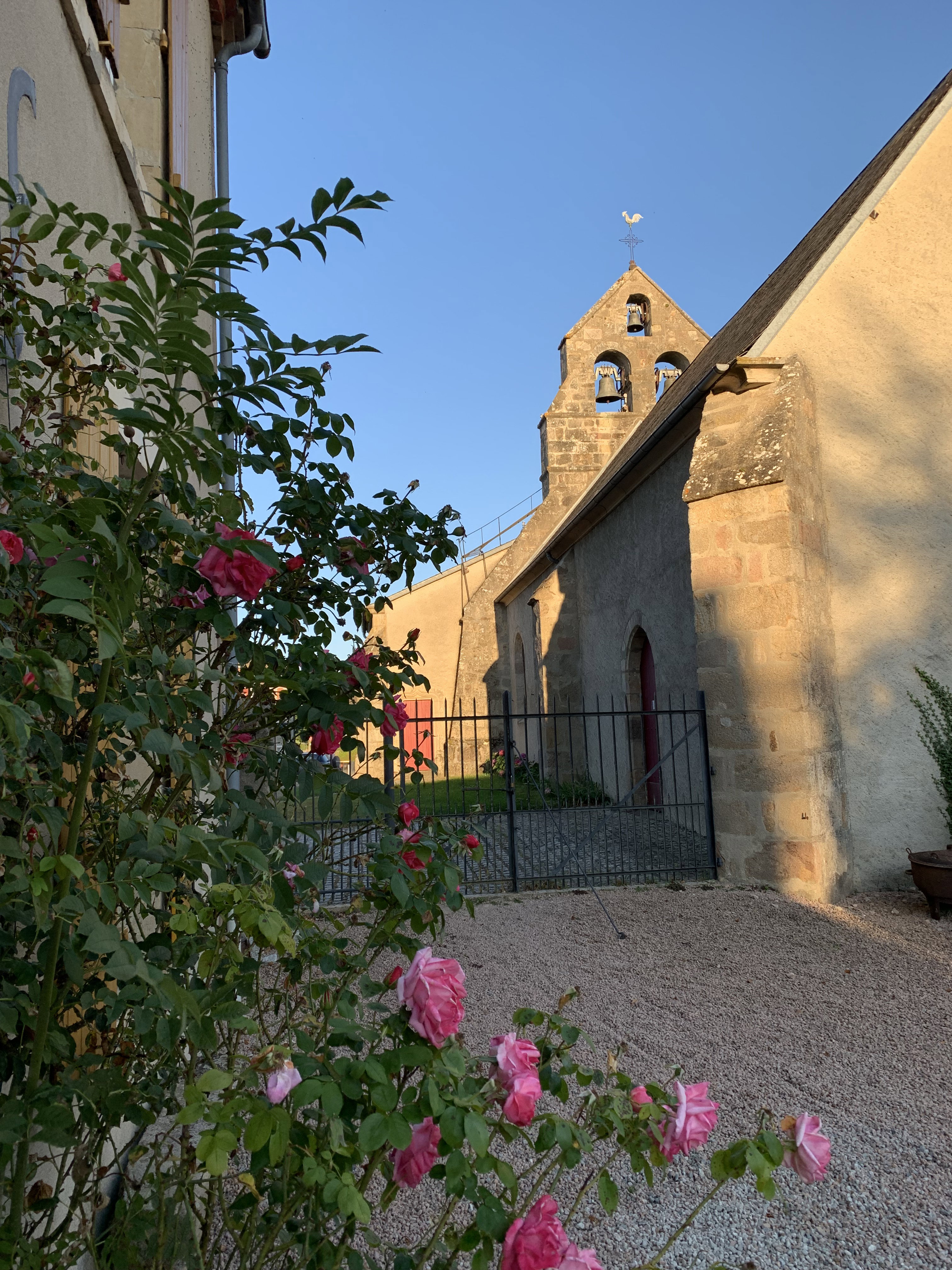 - image: 24