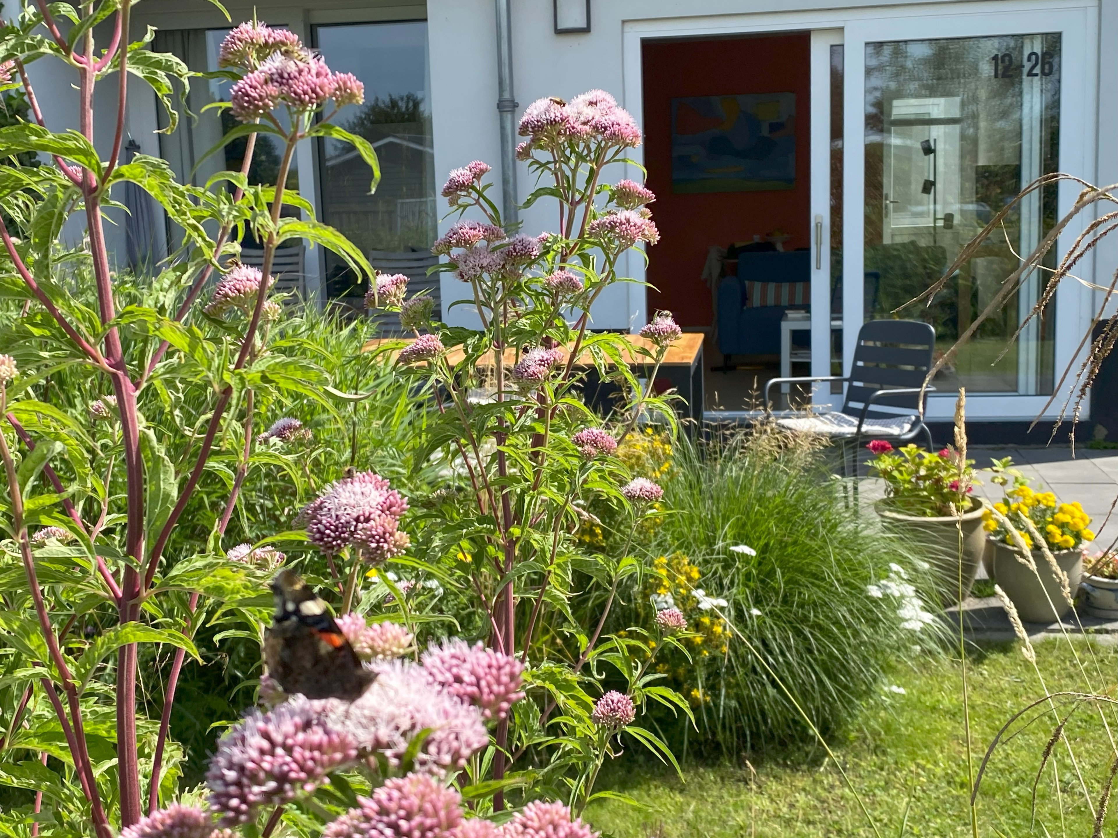 Natuurhuisje in Offingawier