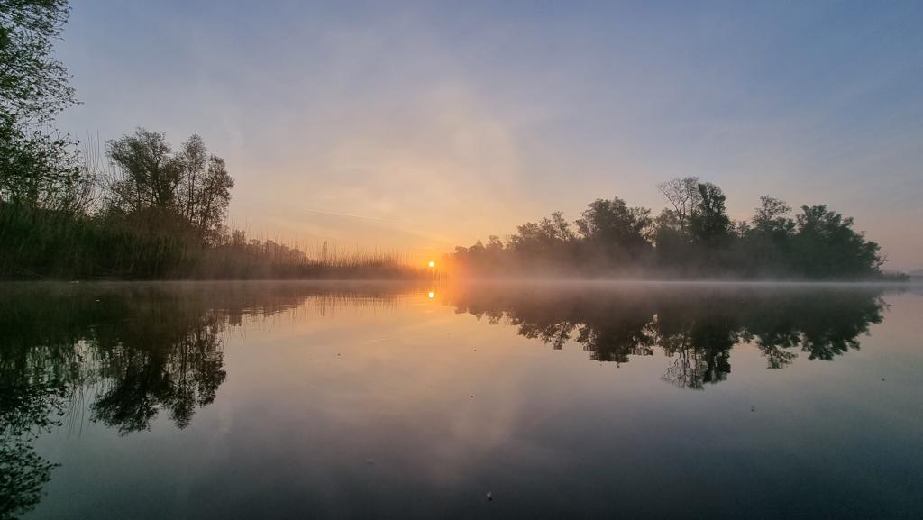 - image: 29