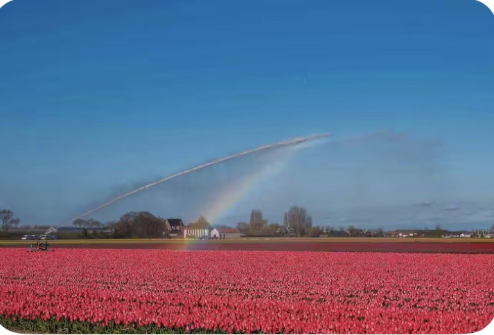 Natuurhuisje in Hillegom