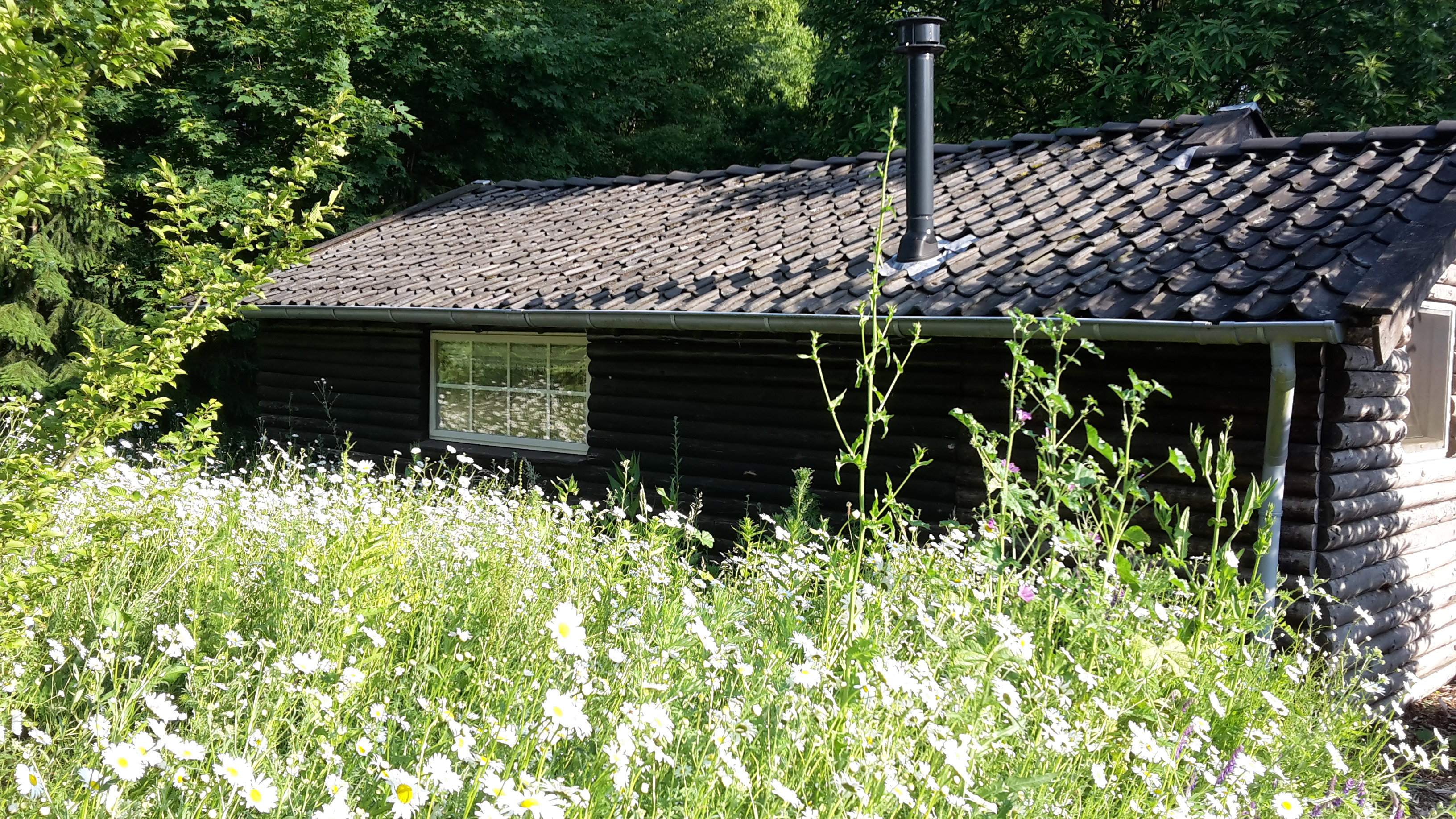 Maison nature à Empe