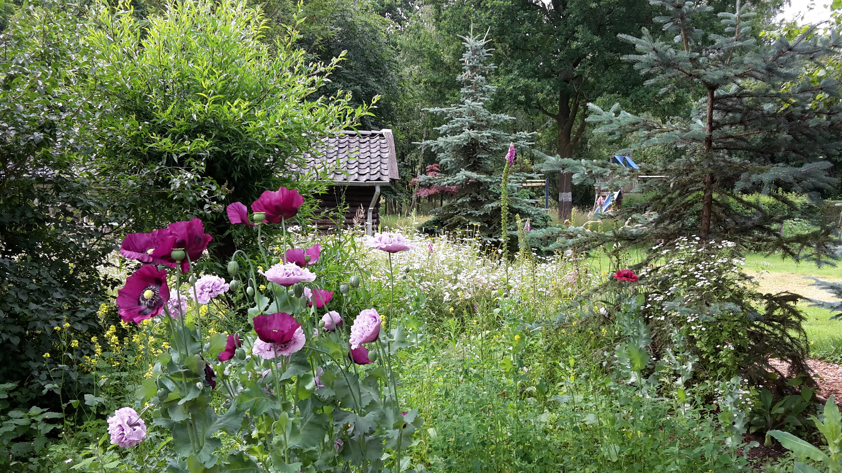 Maison nature à Empe