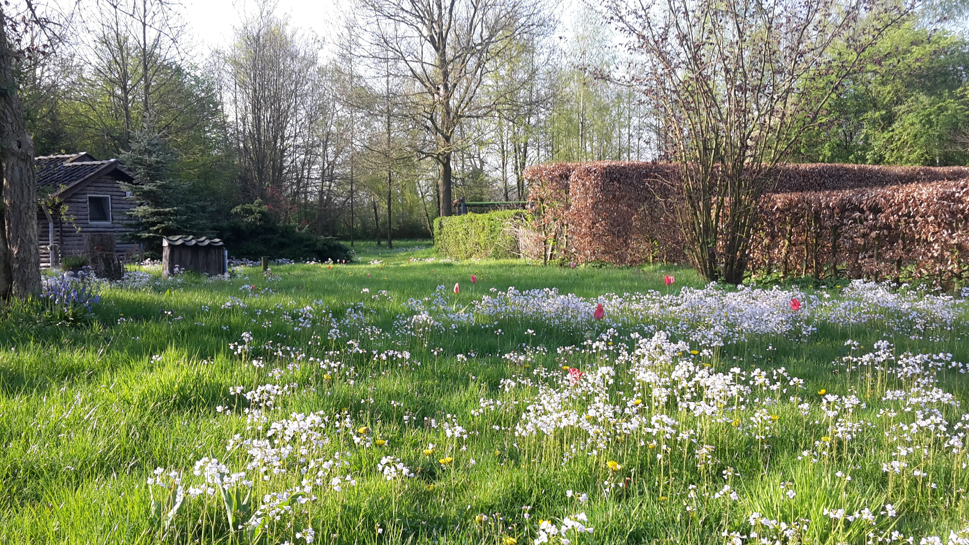 Maison nature à Empe