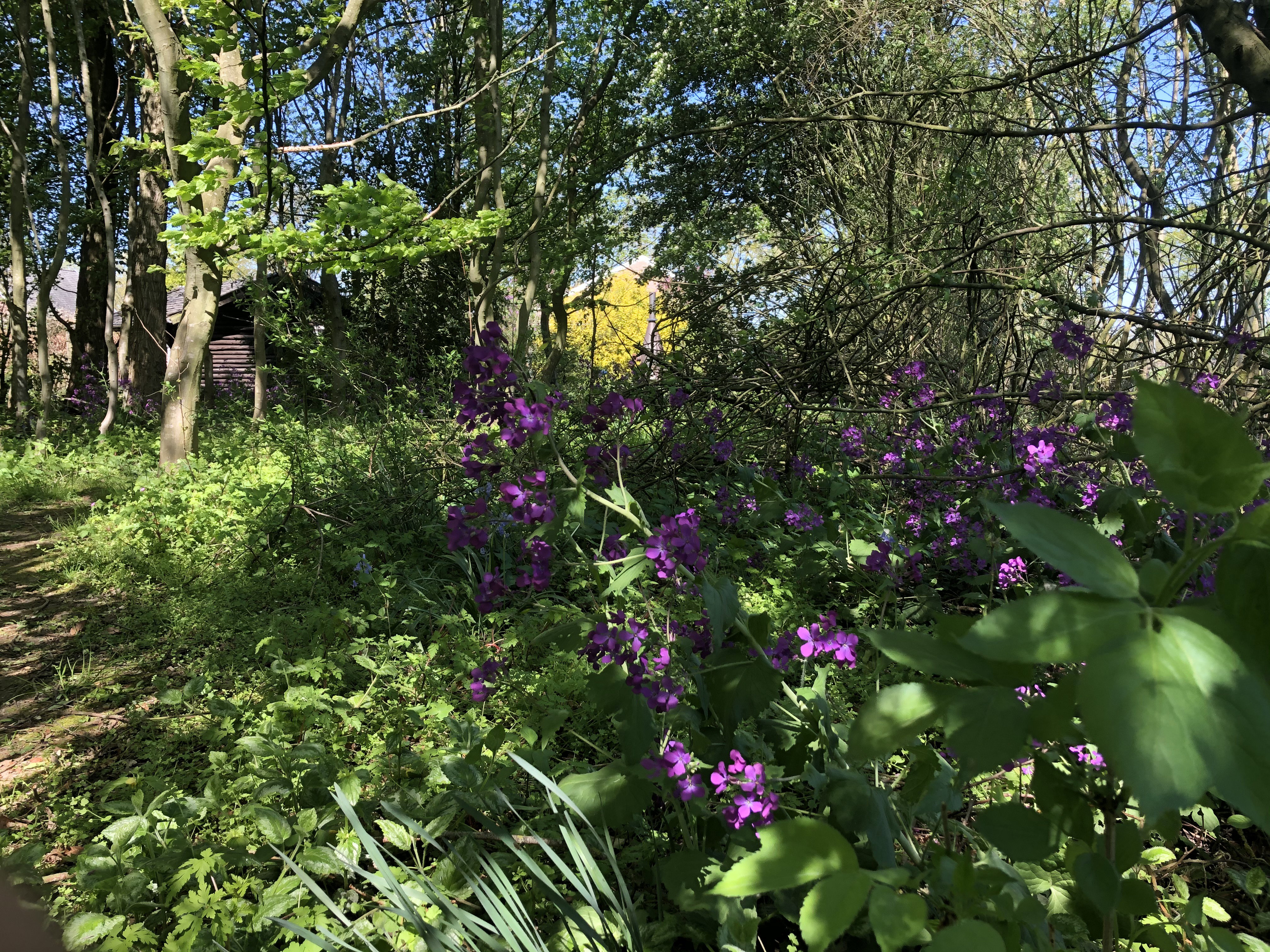 Maison nature à Empe