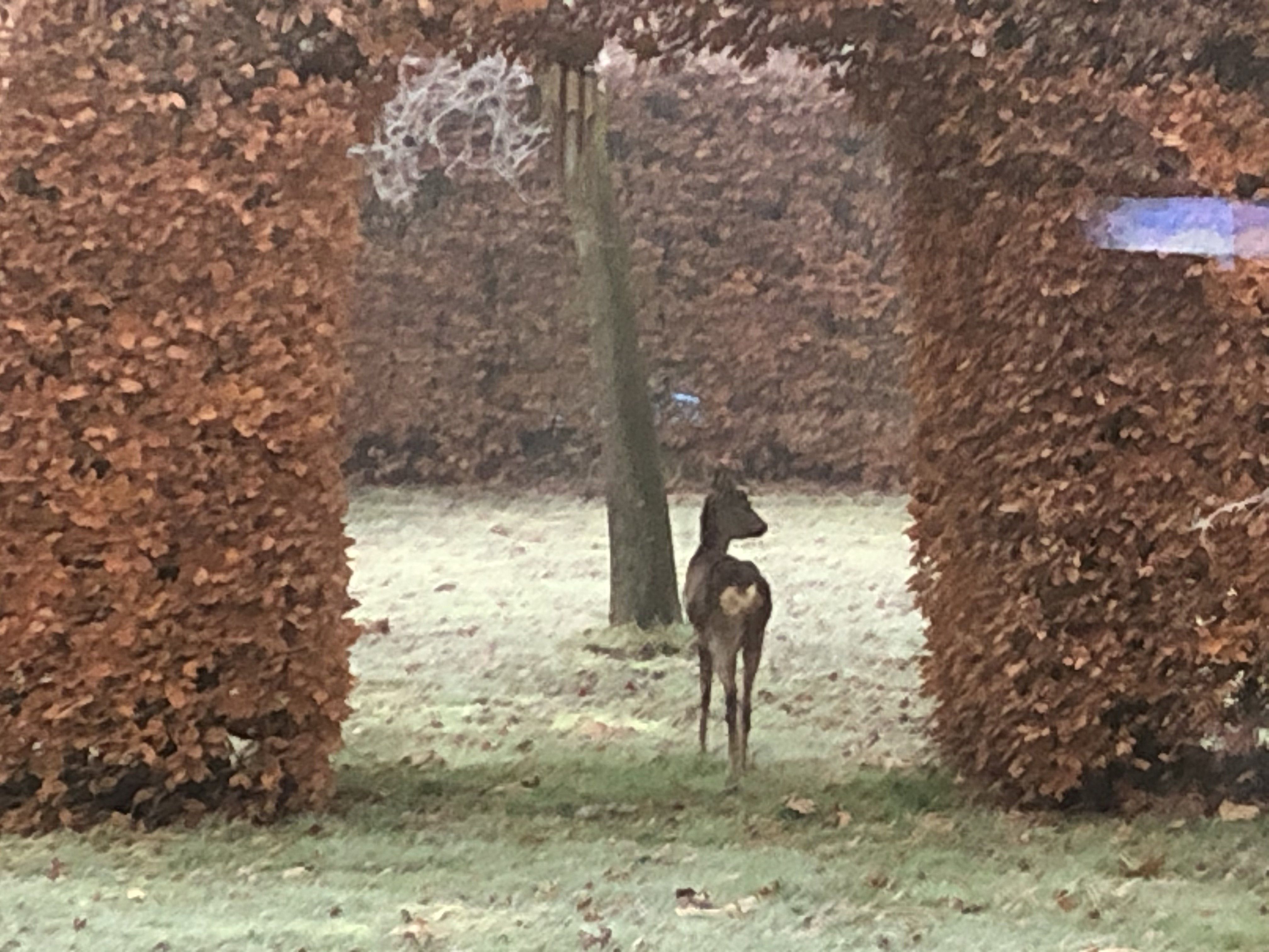 Maison nature à Empe
