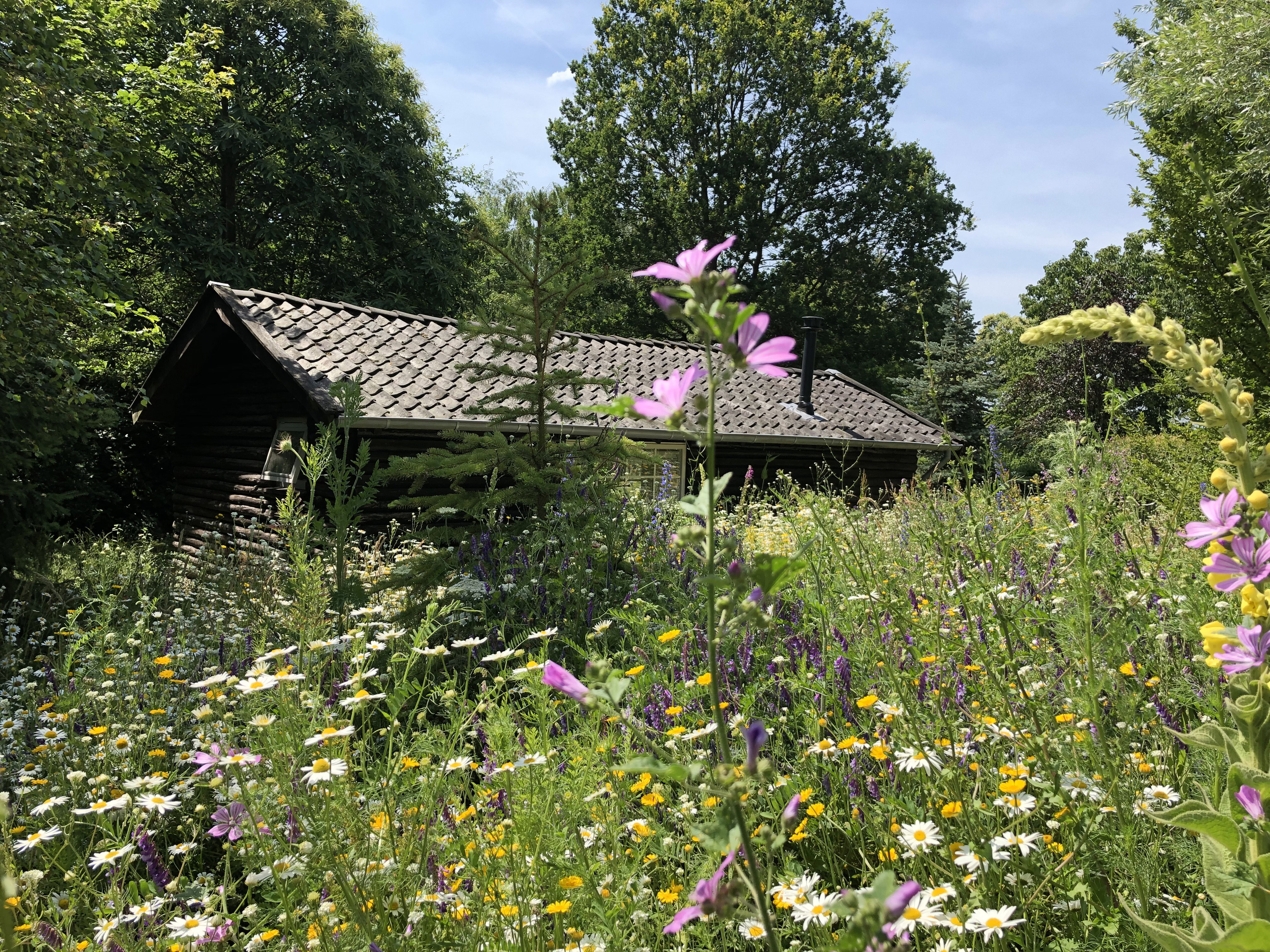 Maison nature à Empe