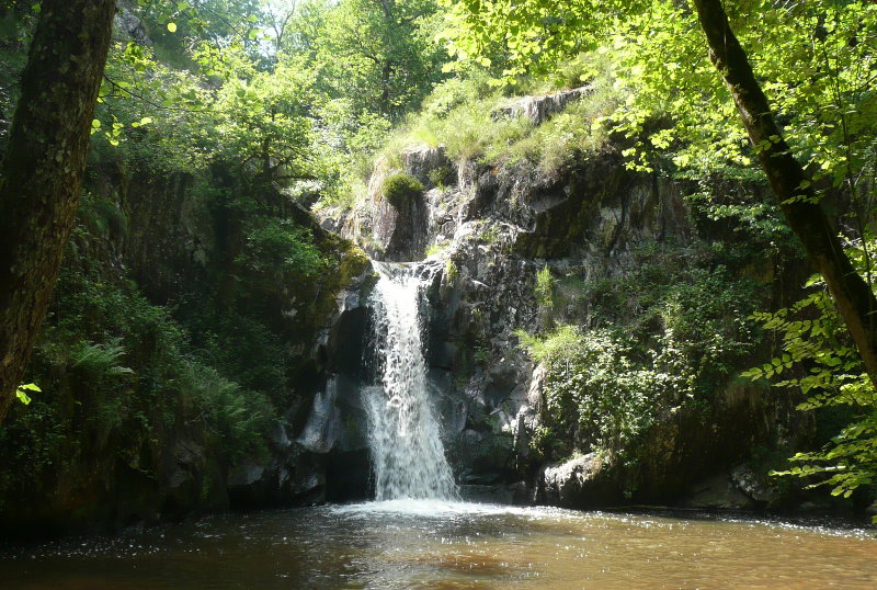 - image: 17