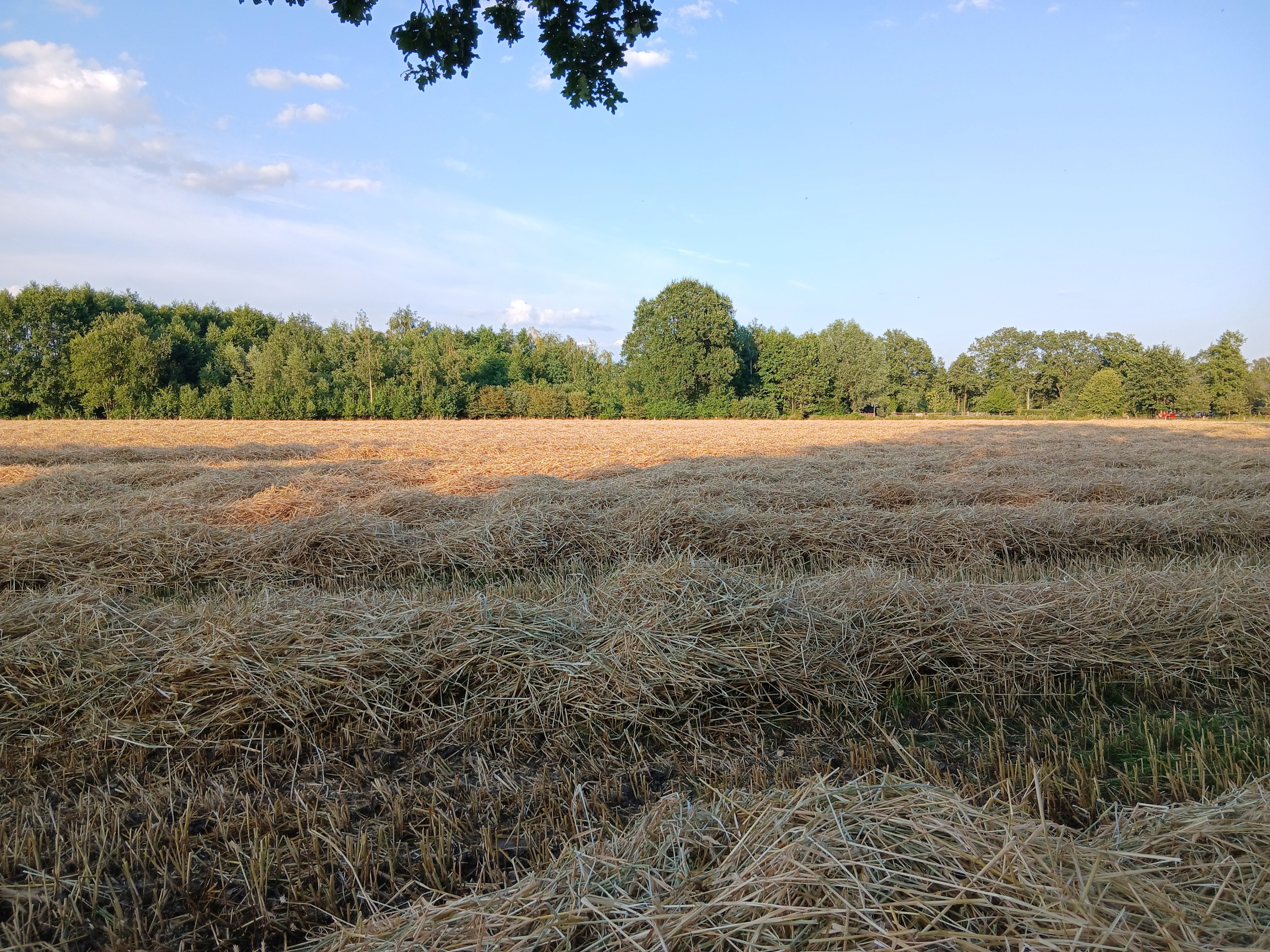 Natuurhuisje in Hengelo Gelderland, gemeente Bronckhorst