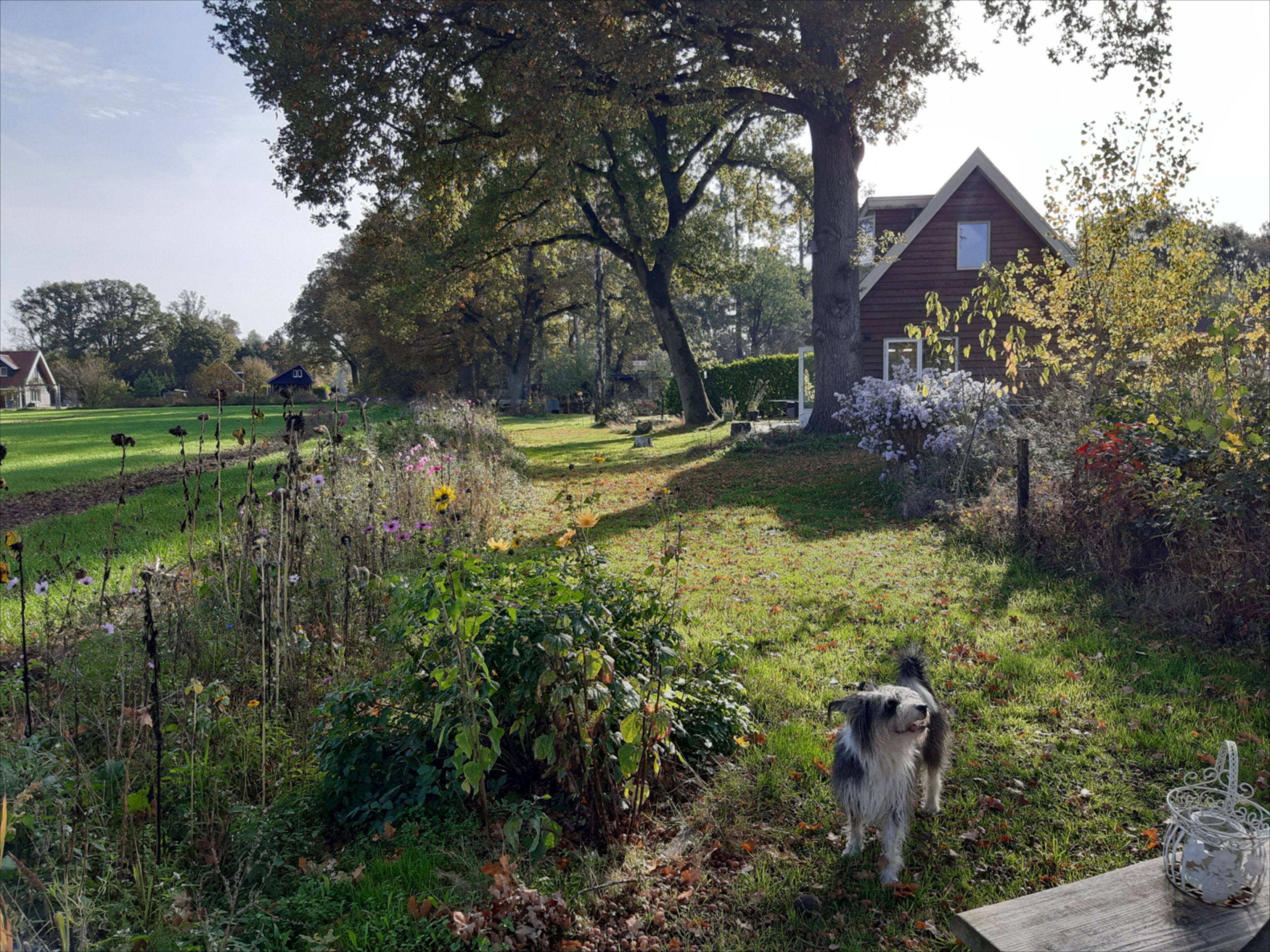 Naturhäuschen in Hengelo Gelderland, gemeente Bronckhorst
