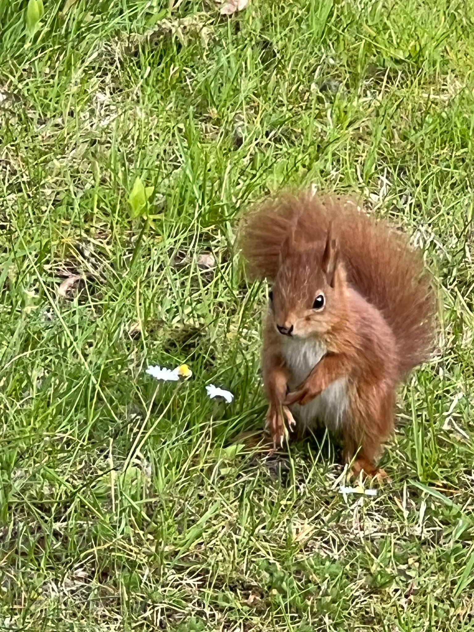 Naturhäuschen in Hengelo Gelderland, gemeente Bronckhorst