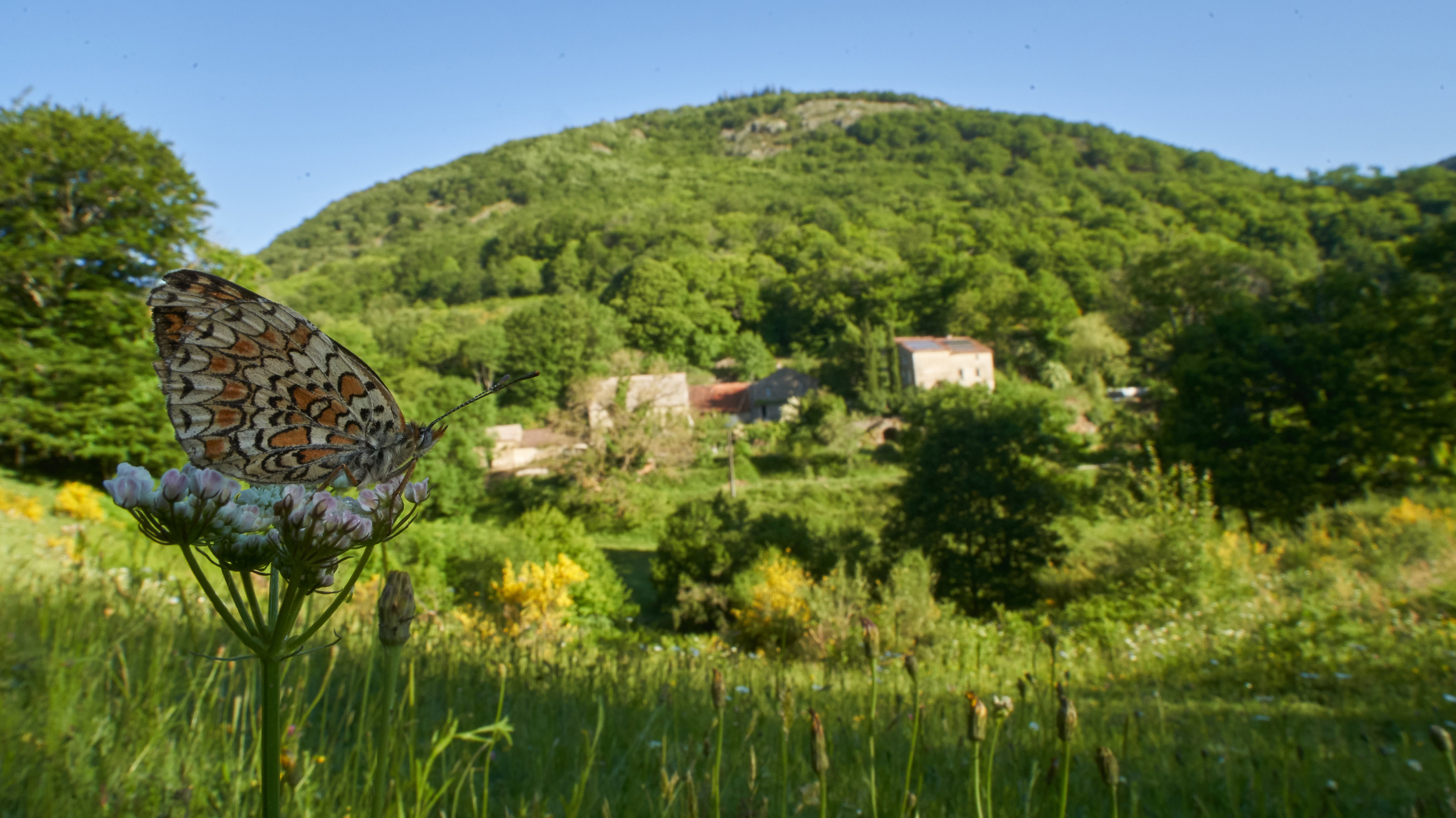 Naturhäuschen in Cassagnoles